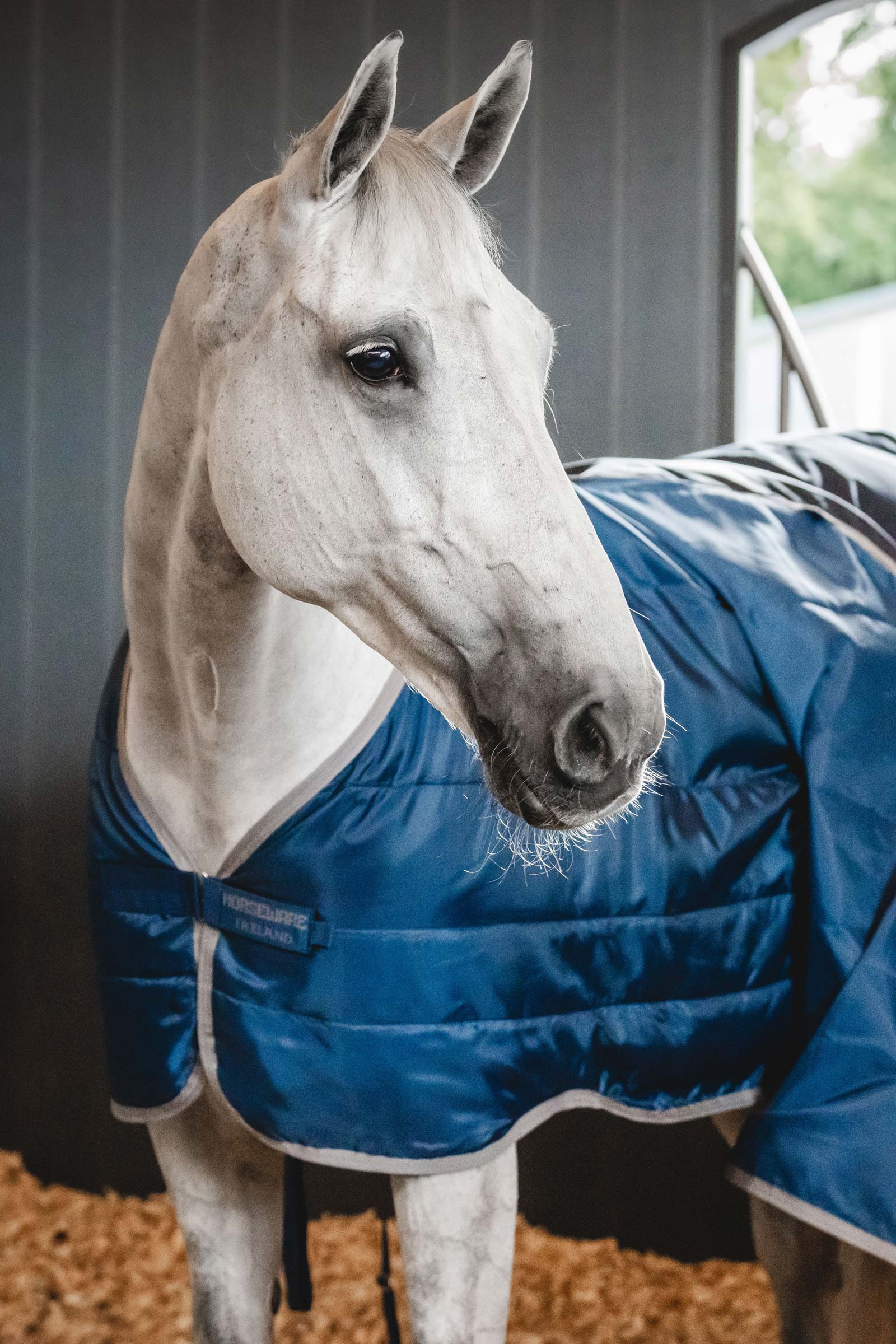 Horseware Ionic Therapy Podszewka 50g