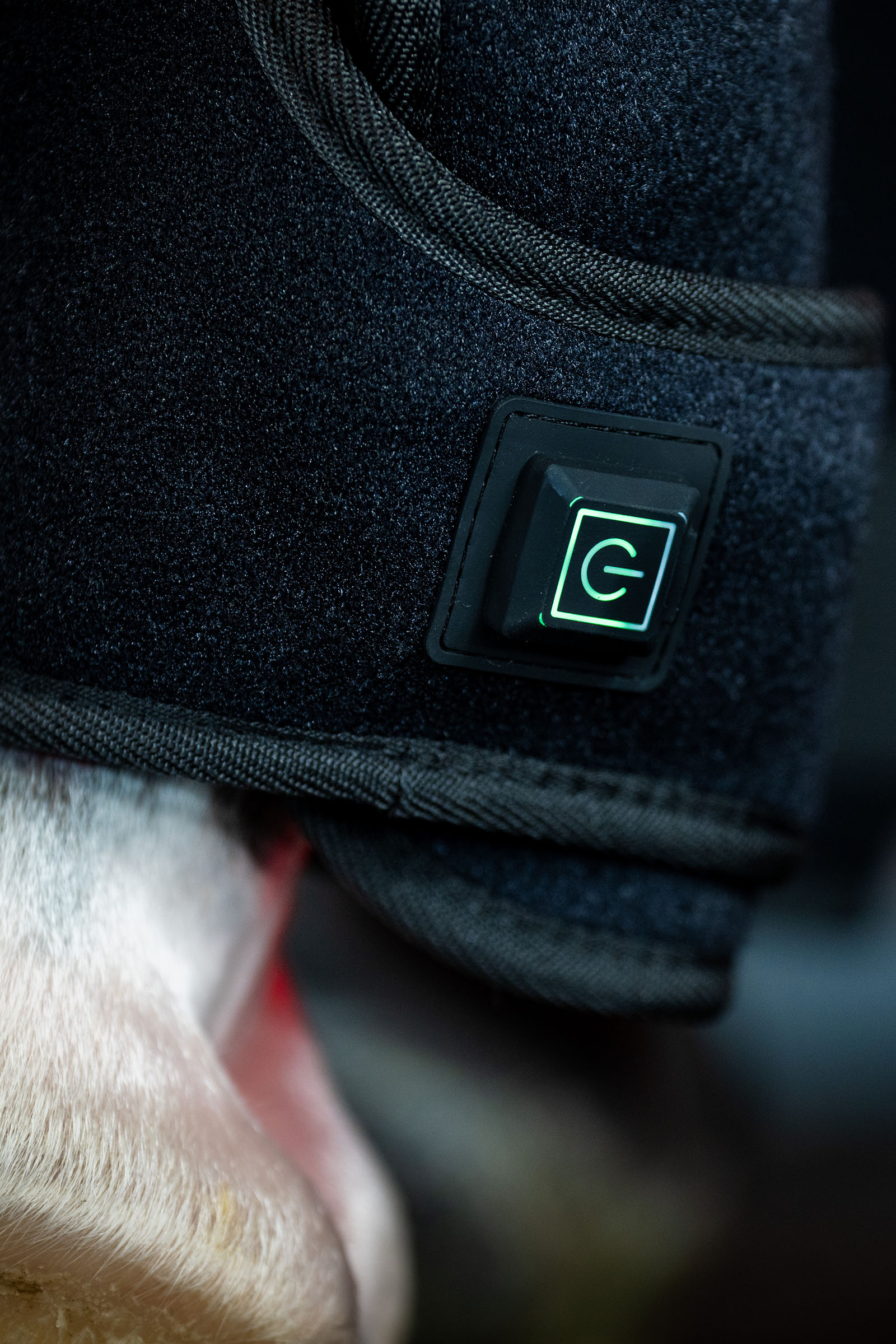 Horseware LED terapeutyczny ochraniacz z czerwonym światłem (1 szt.)