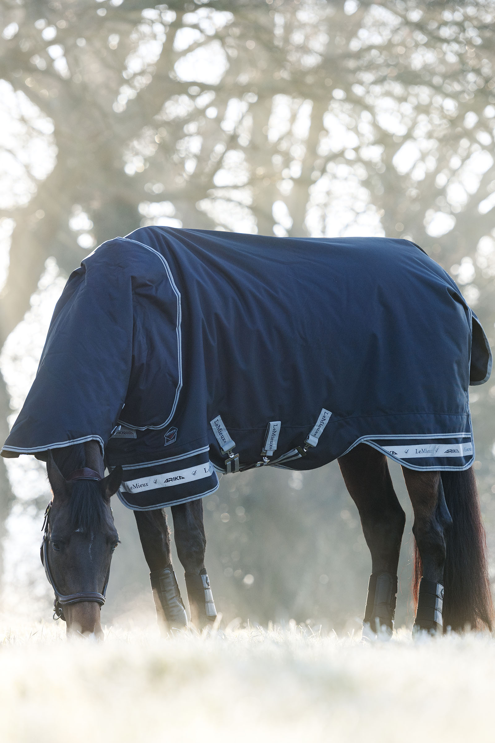 LeMieux Arika Storm-Tek 350g