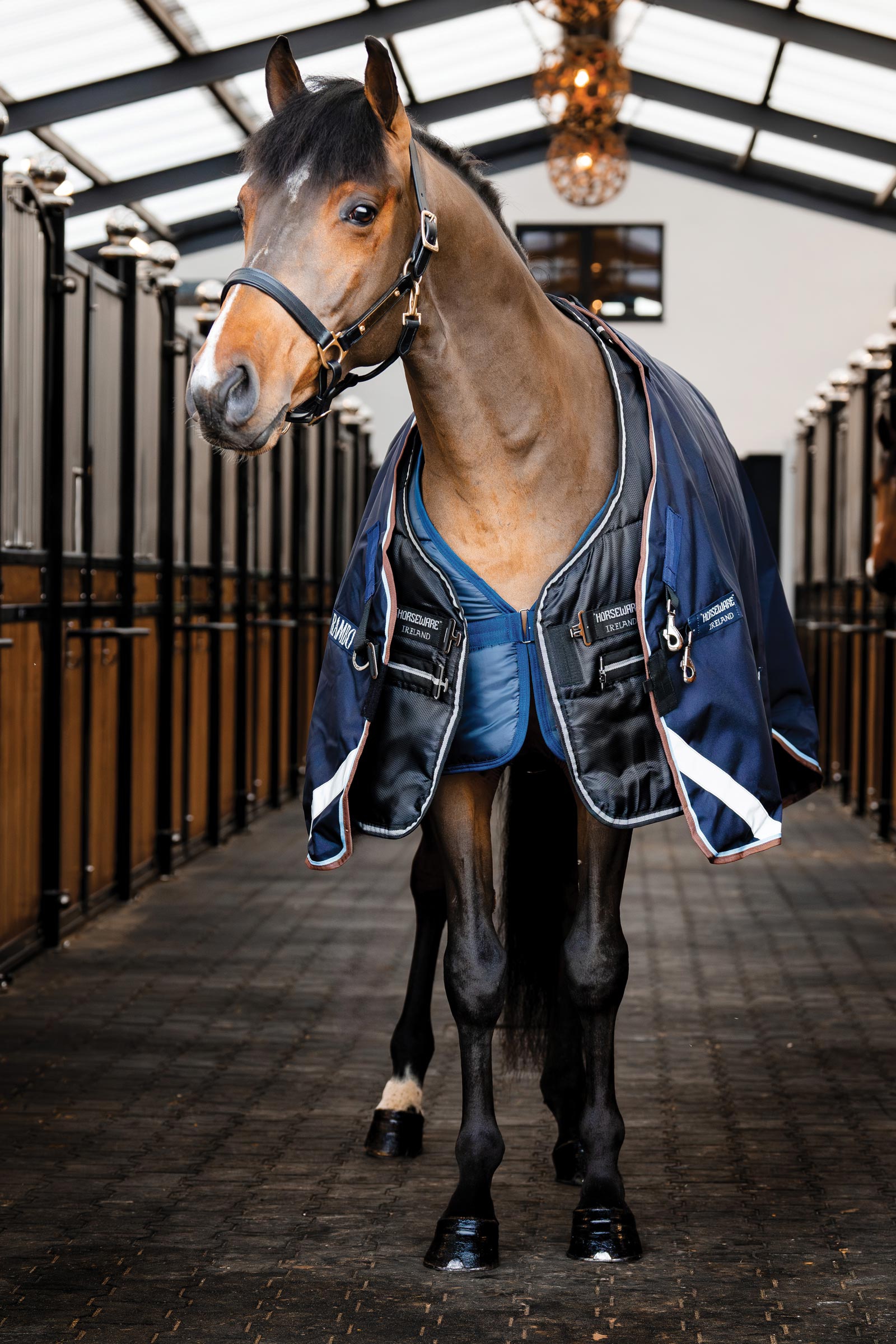 Horseware Easy-Layer derka stajenna 100g