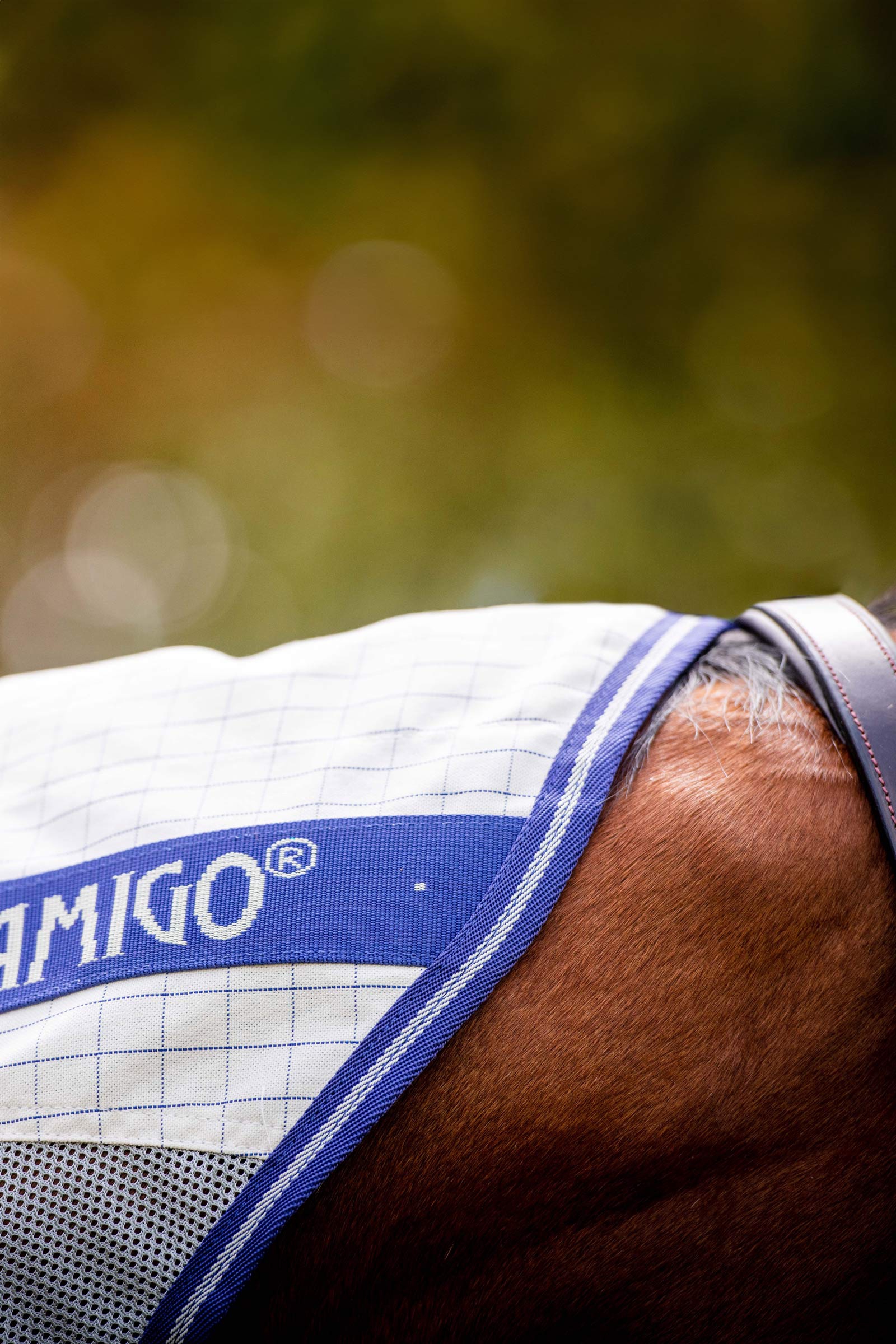 Horseware Amigo Airflow derka przeciw owadom z odpinaną częścią szyjną