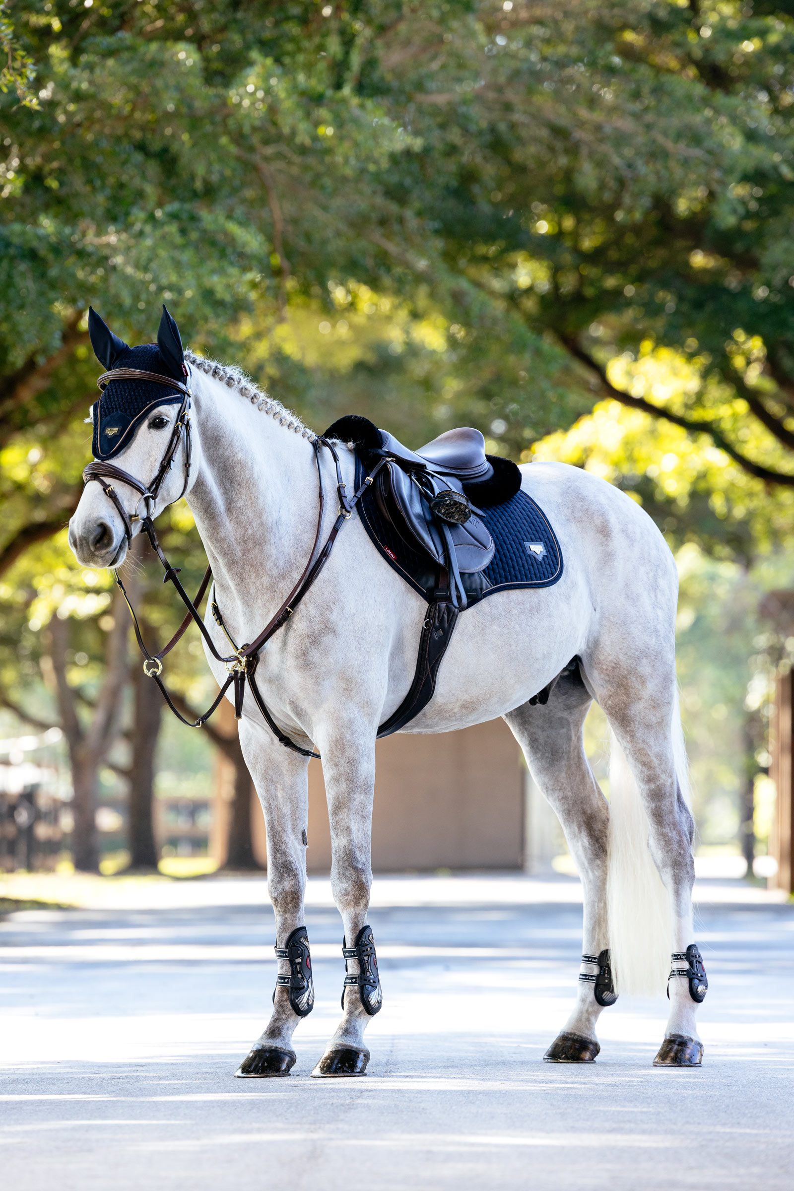 LeMieux Puissance Close Contact czaprak skokowy z imitacji zamszu