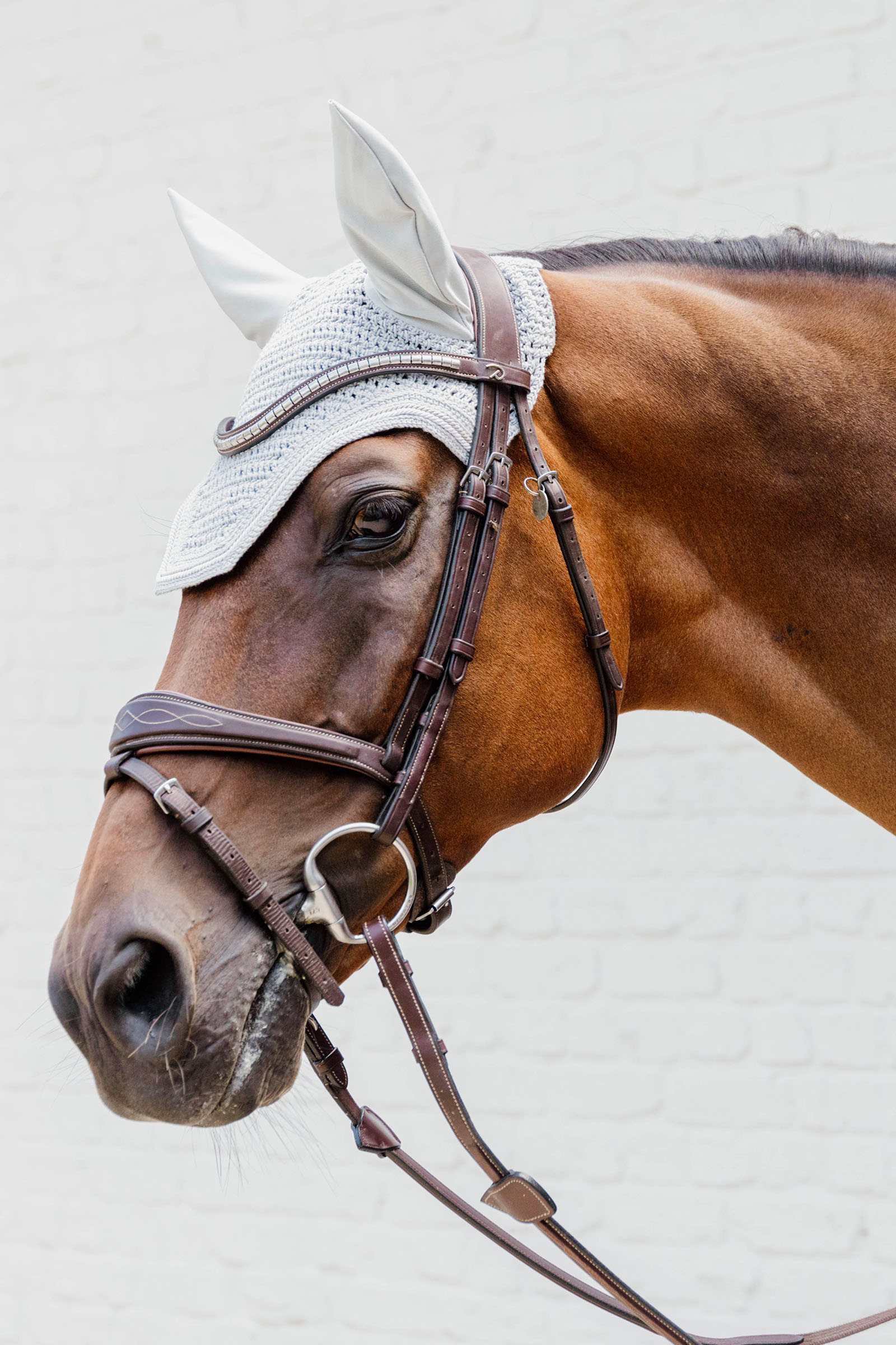 Kentucky Horsewear frędzle dla konia Wellington Diamond Rope Soundless