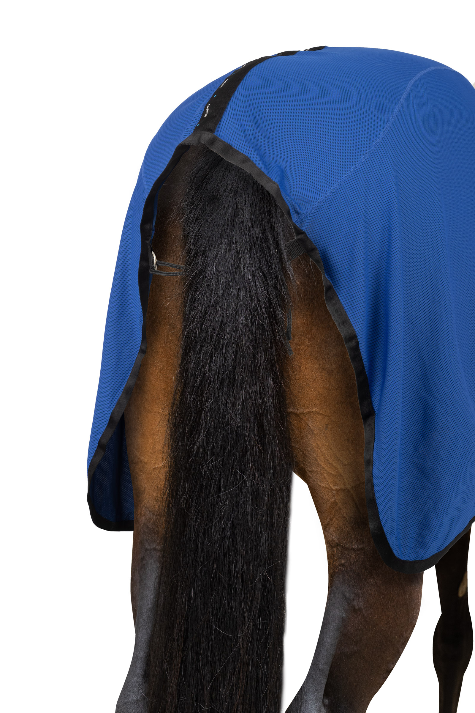 Horze LIMITED EDITION Derka chłodząca