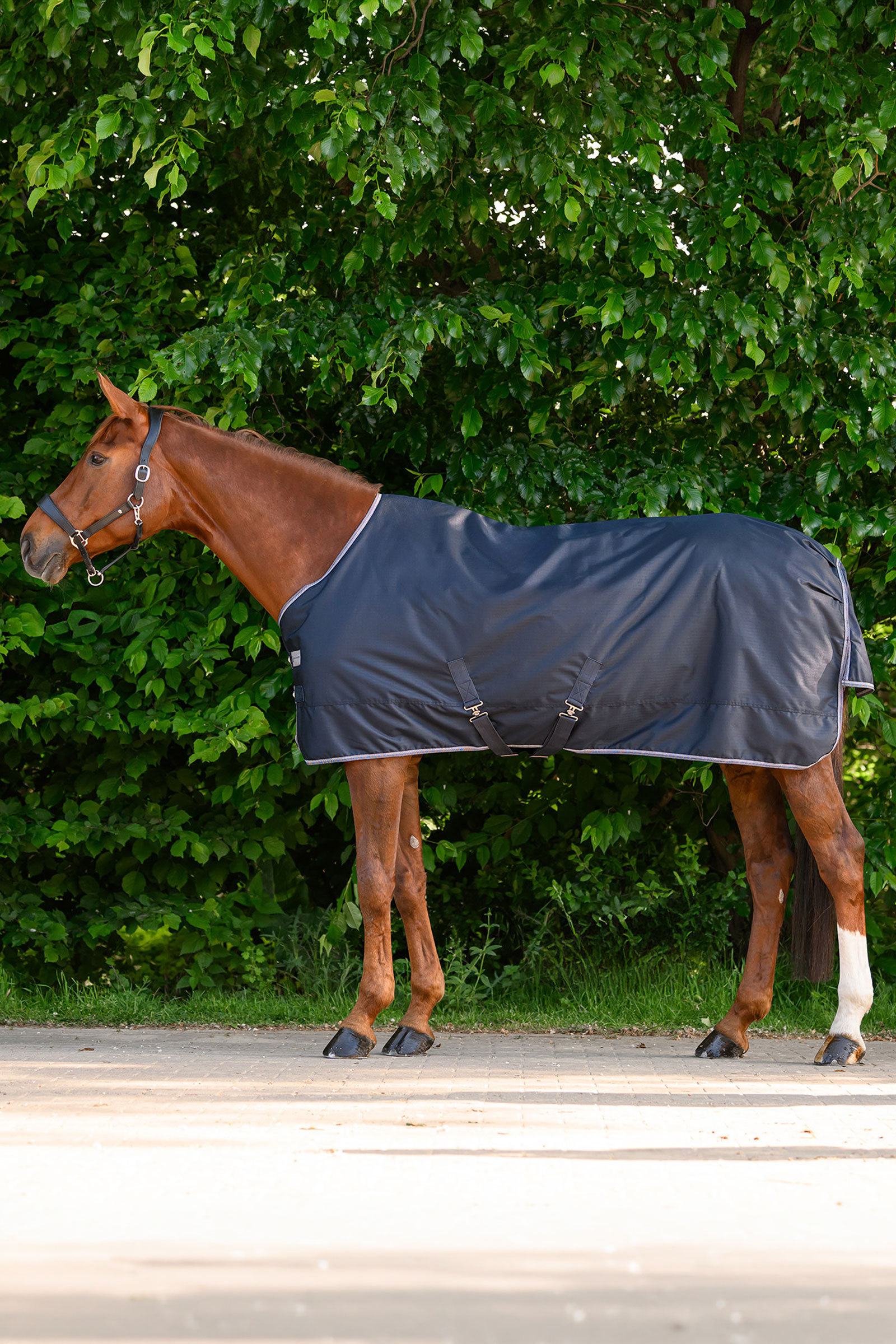 Waldhausen ECONOMIC derka padokowa, 100g