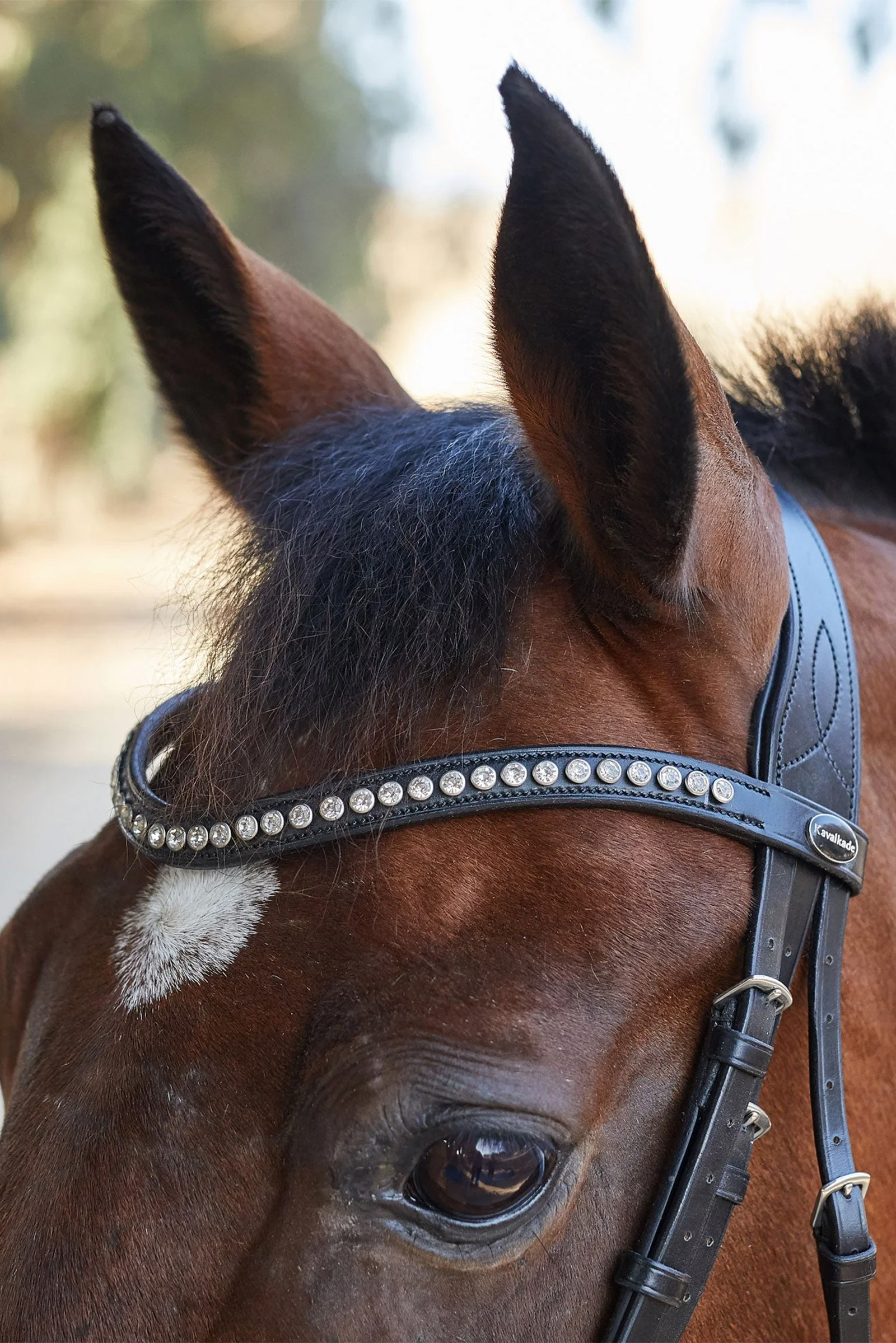 Kavalkade Charlotte Dressage Bridle Crank Noseband