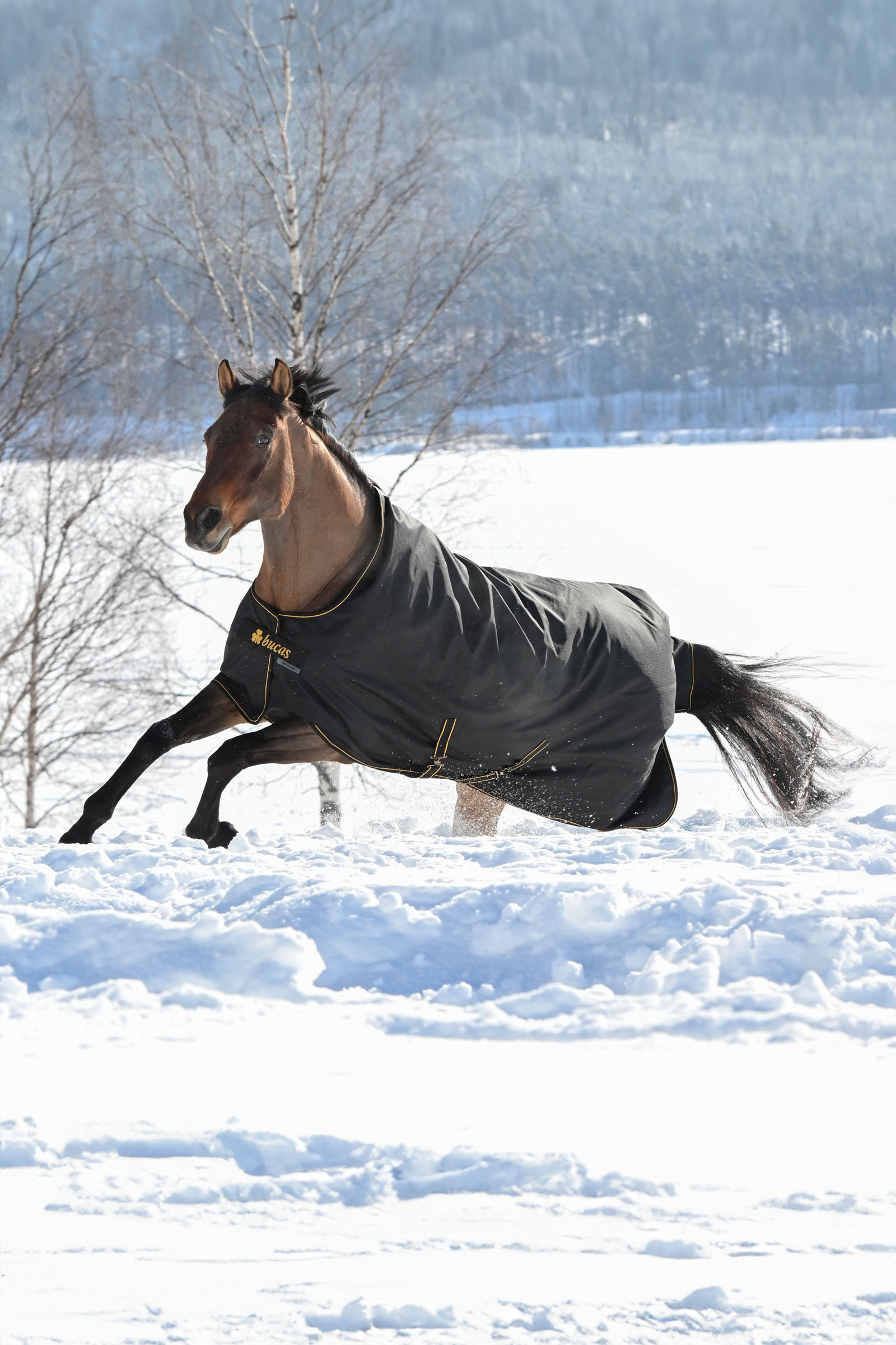 Bucas Irish derka padokowa, 300g