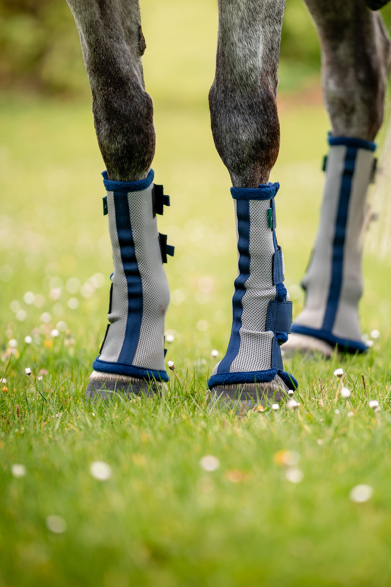 Horseware Fly Boots - zestaw 2 sztuk