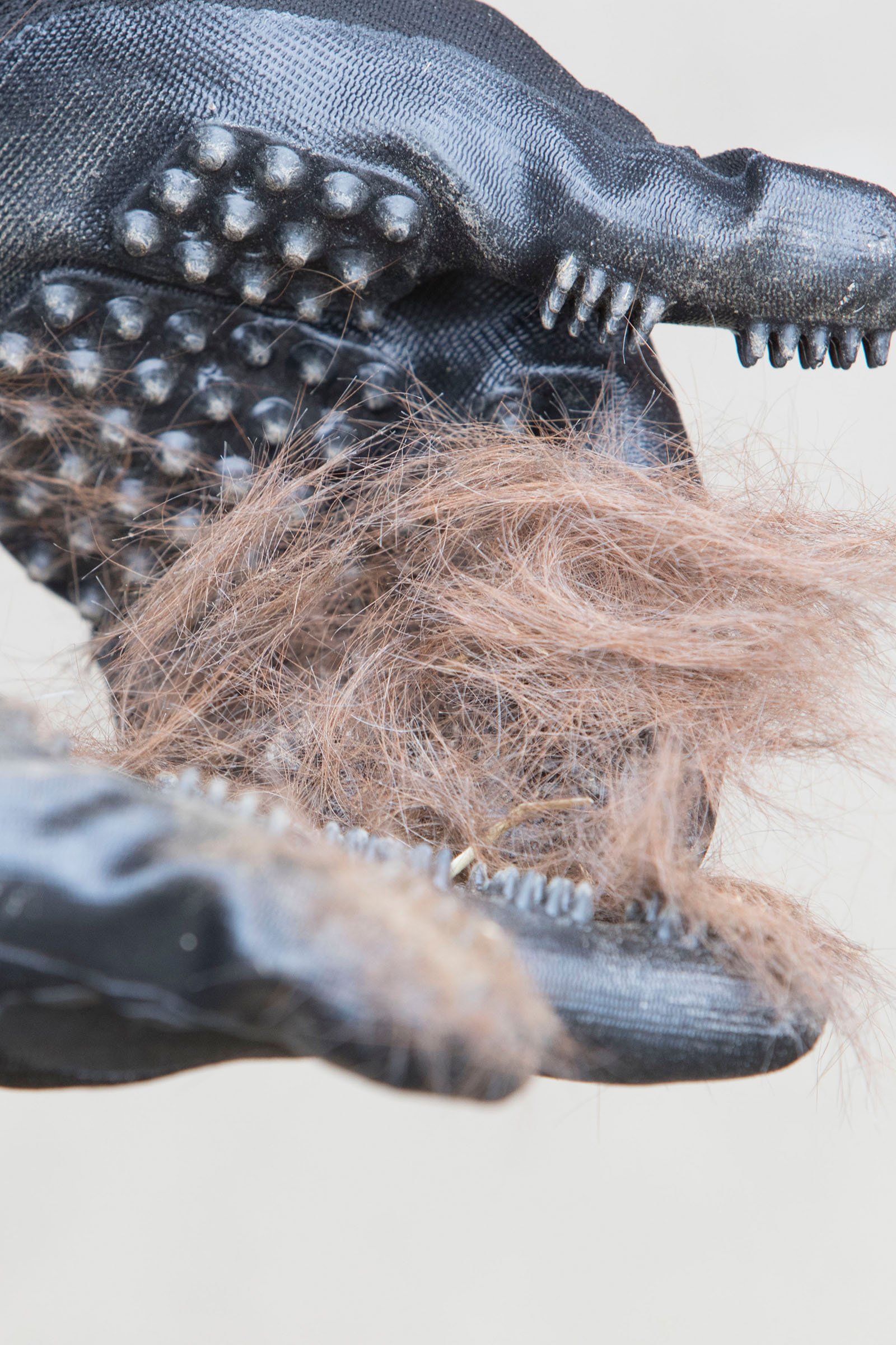 LeMieux Hands On rękawica do pielęgnacji