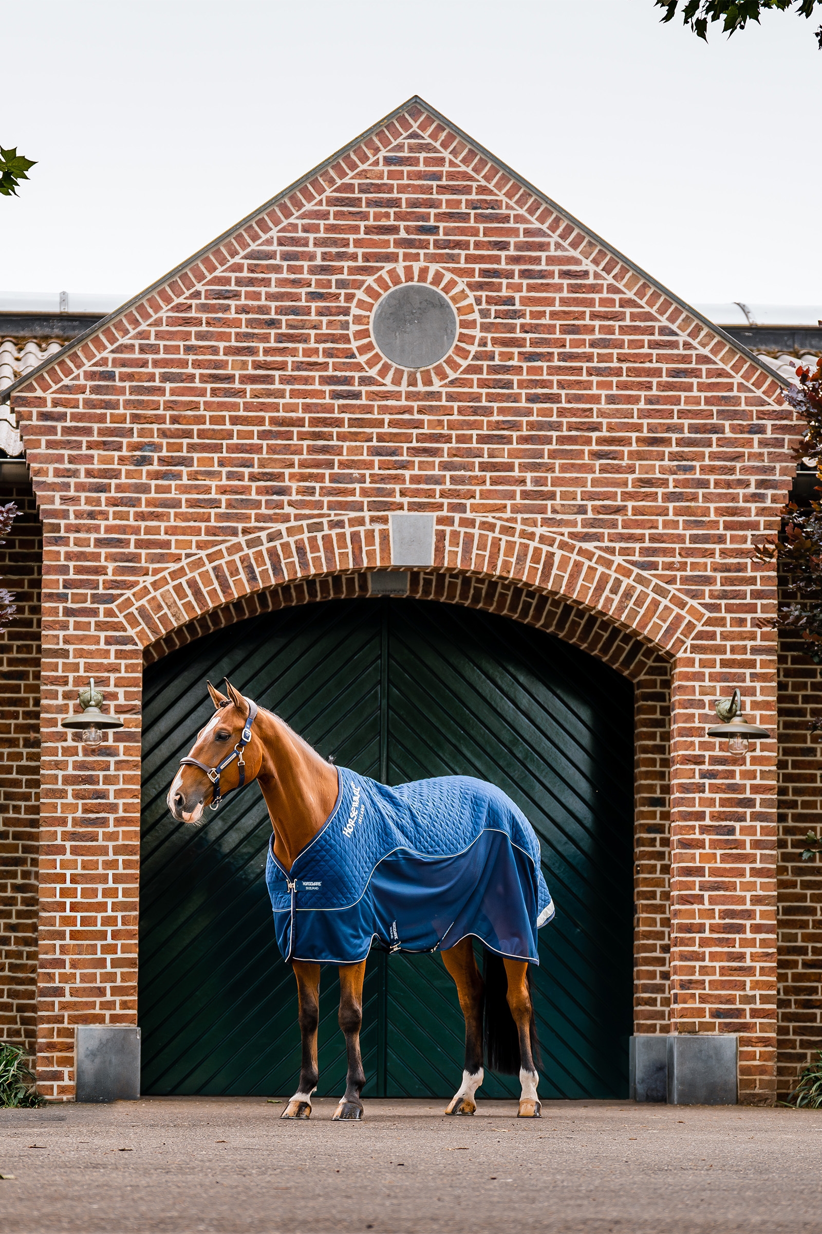 Horseware Signature Koc transportowy, 50g