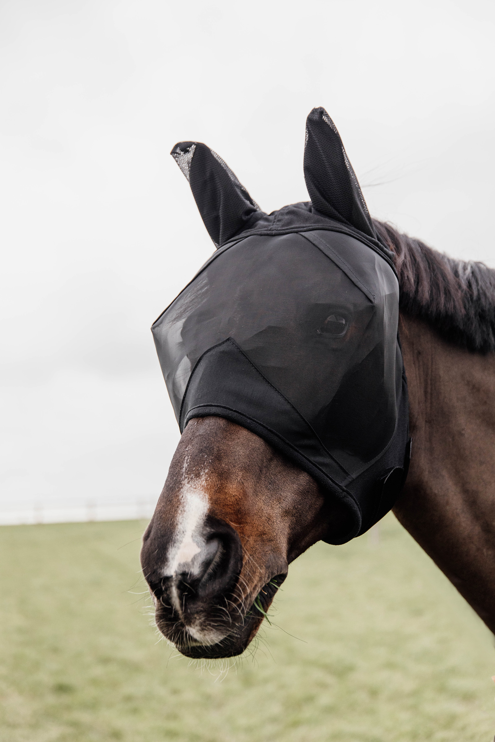 Kentucky Horsewear Classic Maska przeciwko owadom z częścią nauszną