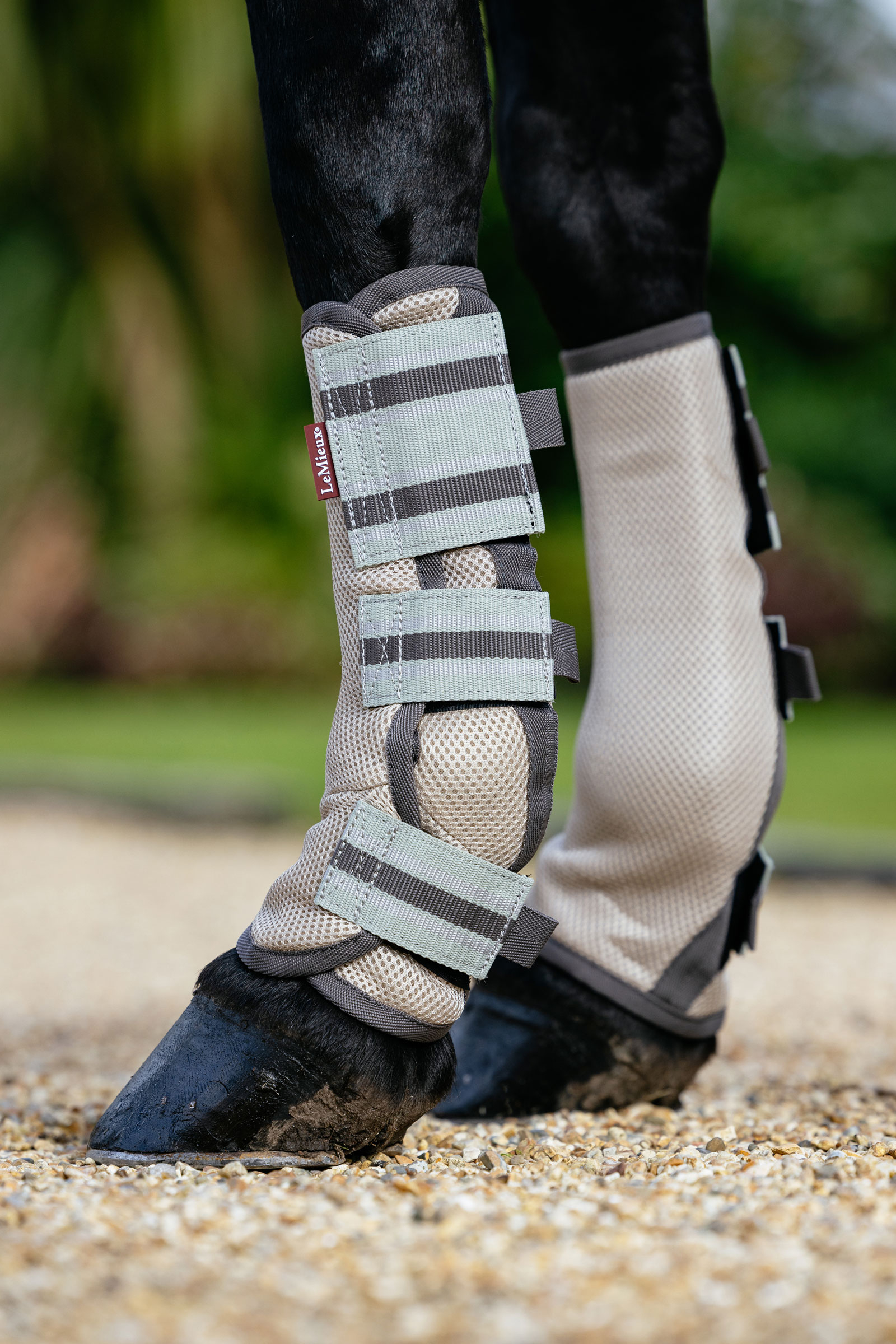 LeMieux Arika ochraniacze przeciw muchom z siatki zestaw 4 sztuki