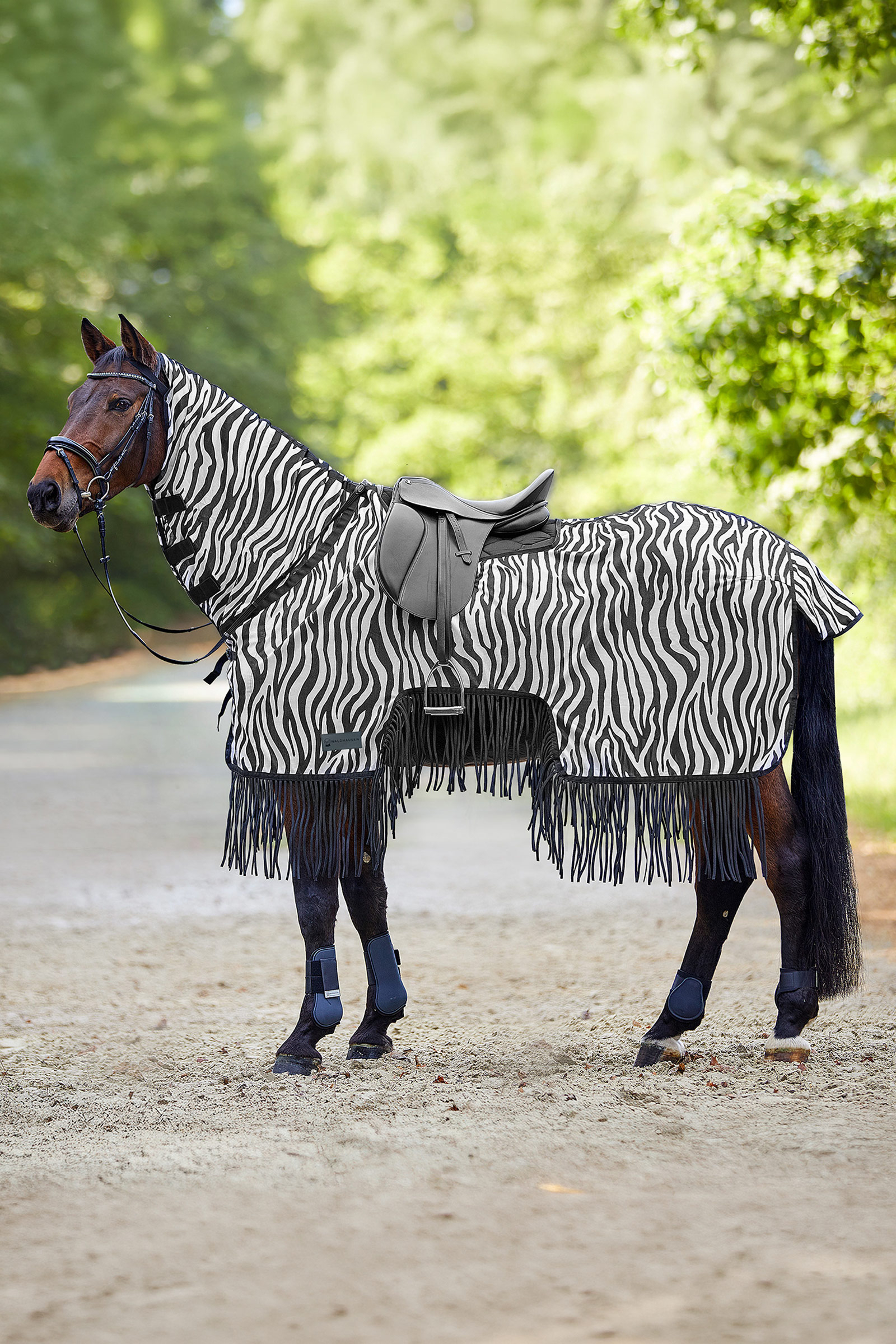 Waldhausen Zebra derka przeciw owadom z wycięciem pod siodło i frędzlami, ochrona UV