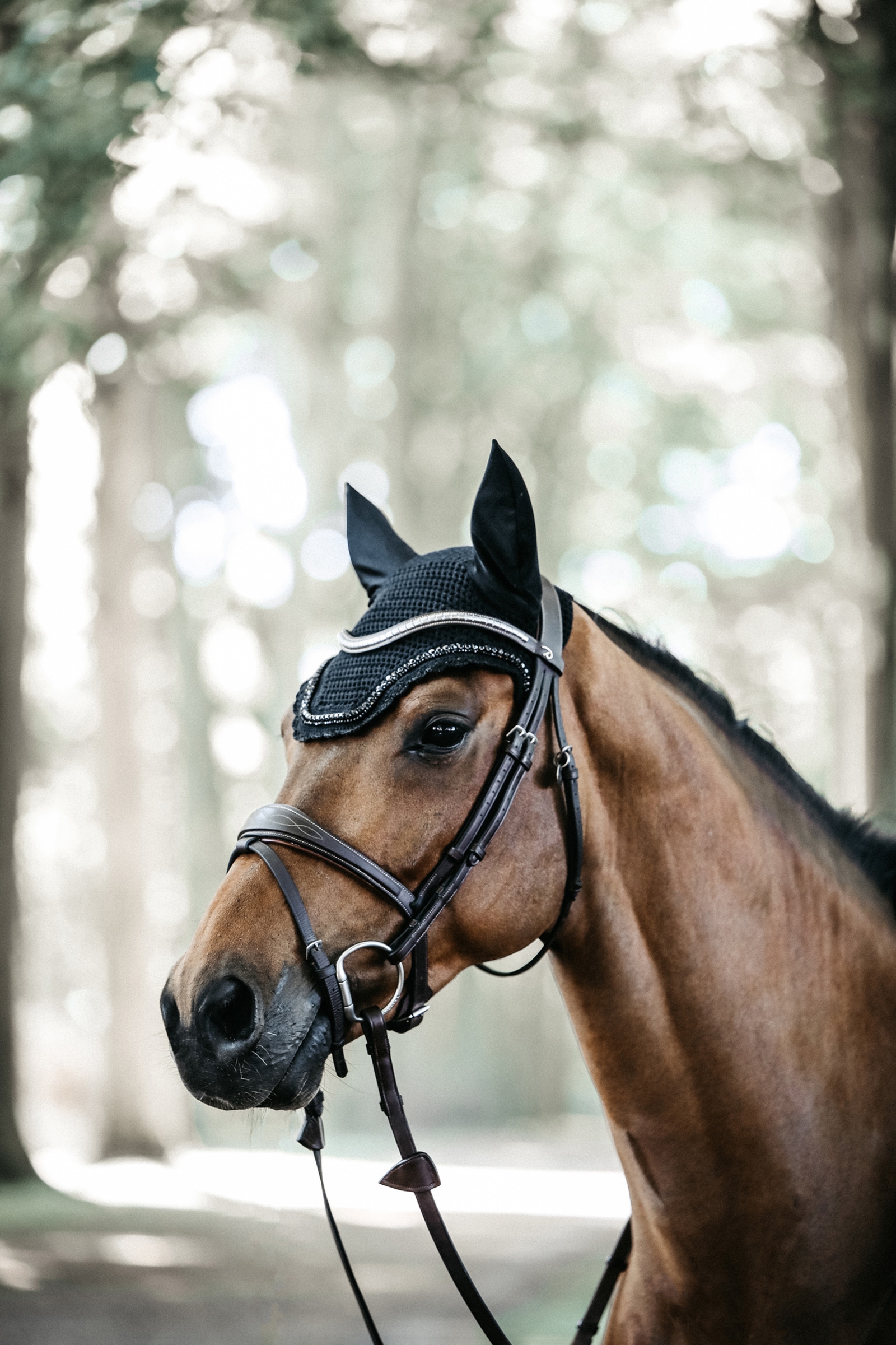 Nauszniki z cyrkoniami i perełkami Kentucky Horsewear Fly Veil Wellington Stone & Pearl