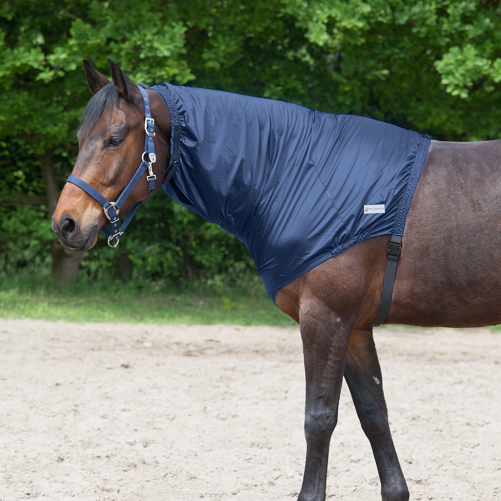 Waldhausen Egzema na szyję