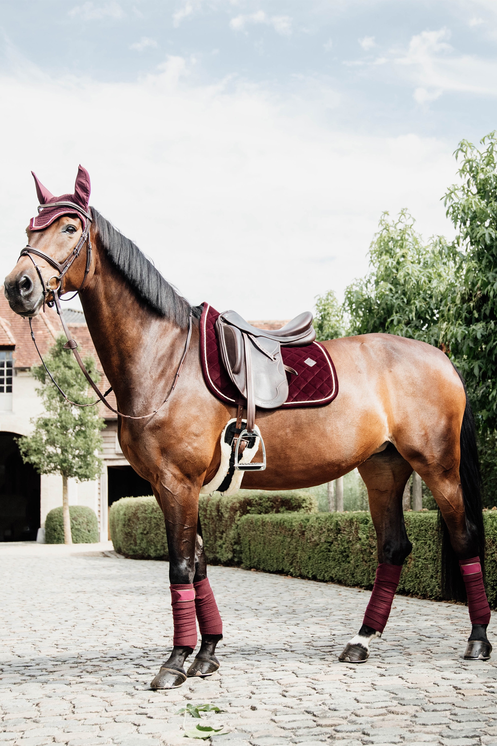 Polarowe koszulki polo Kentucky Horsewear