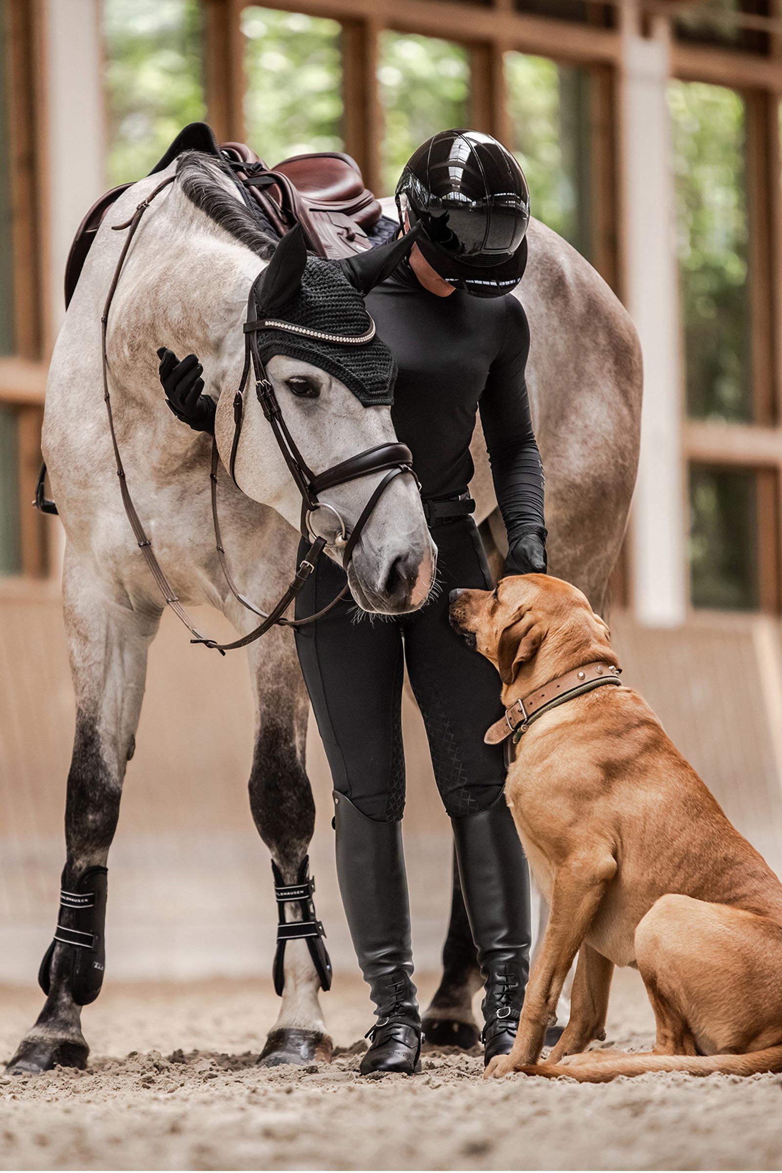 SWING H24 Lady Glossy damski kask jeździecki