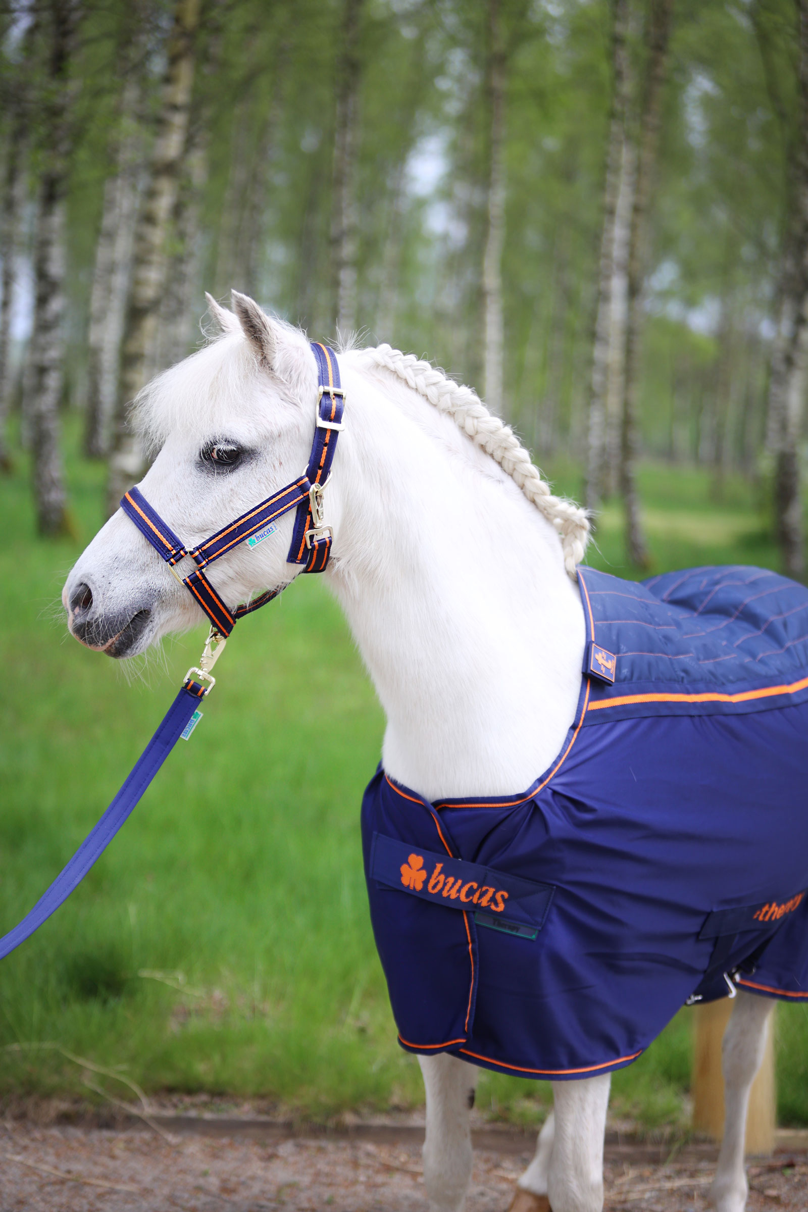 Bucas Therapy derka chłodząca dla kucyków, 0 g