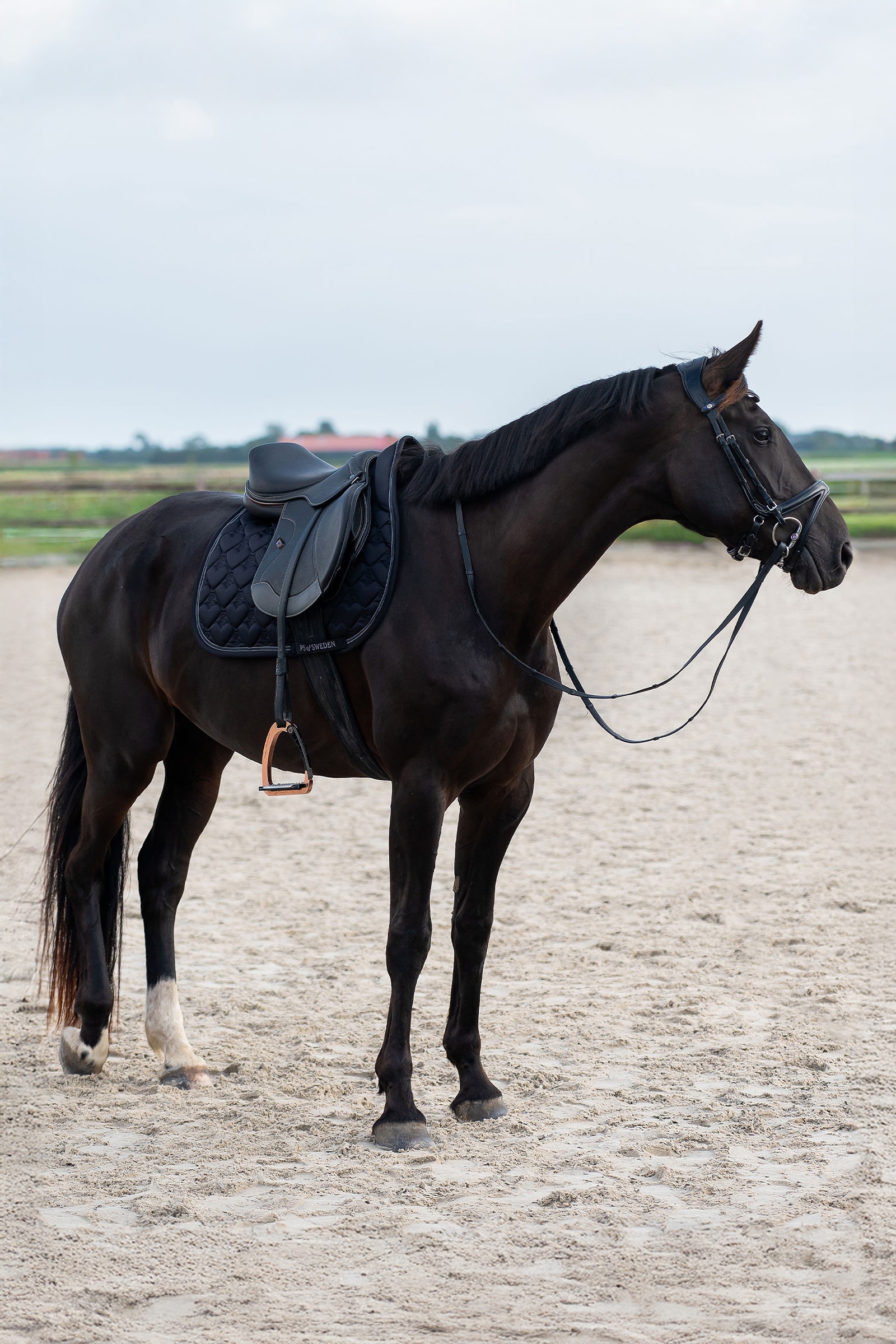 PS of Sweden Heart Jumping Saddle Pad
