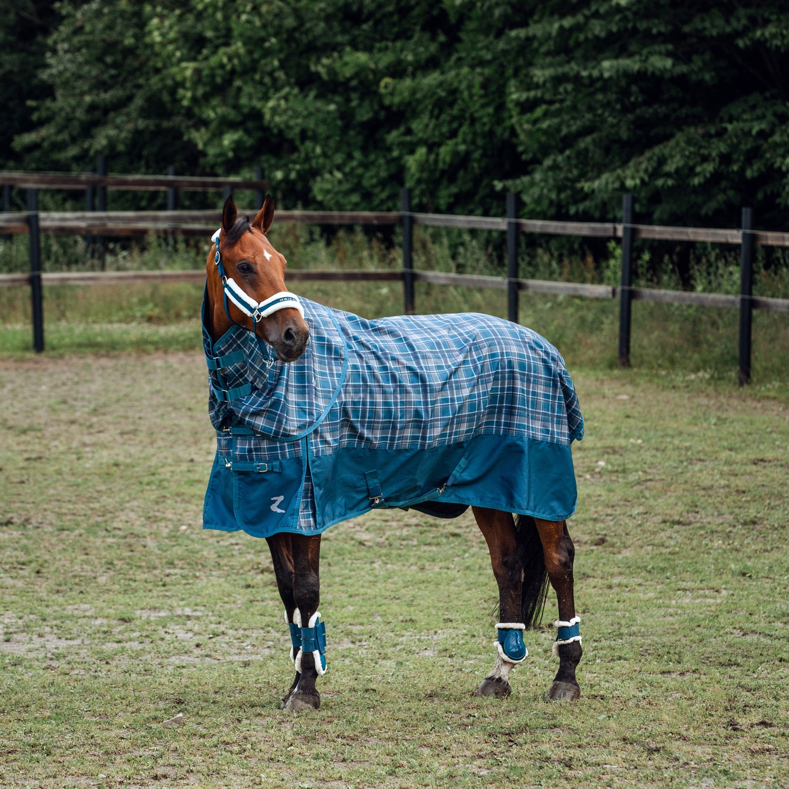 Buty Horze Caliber Fetlock z wyściółką ze sztucznego futra