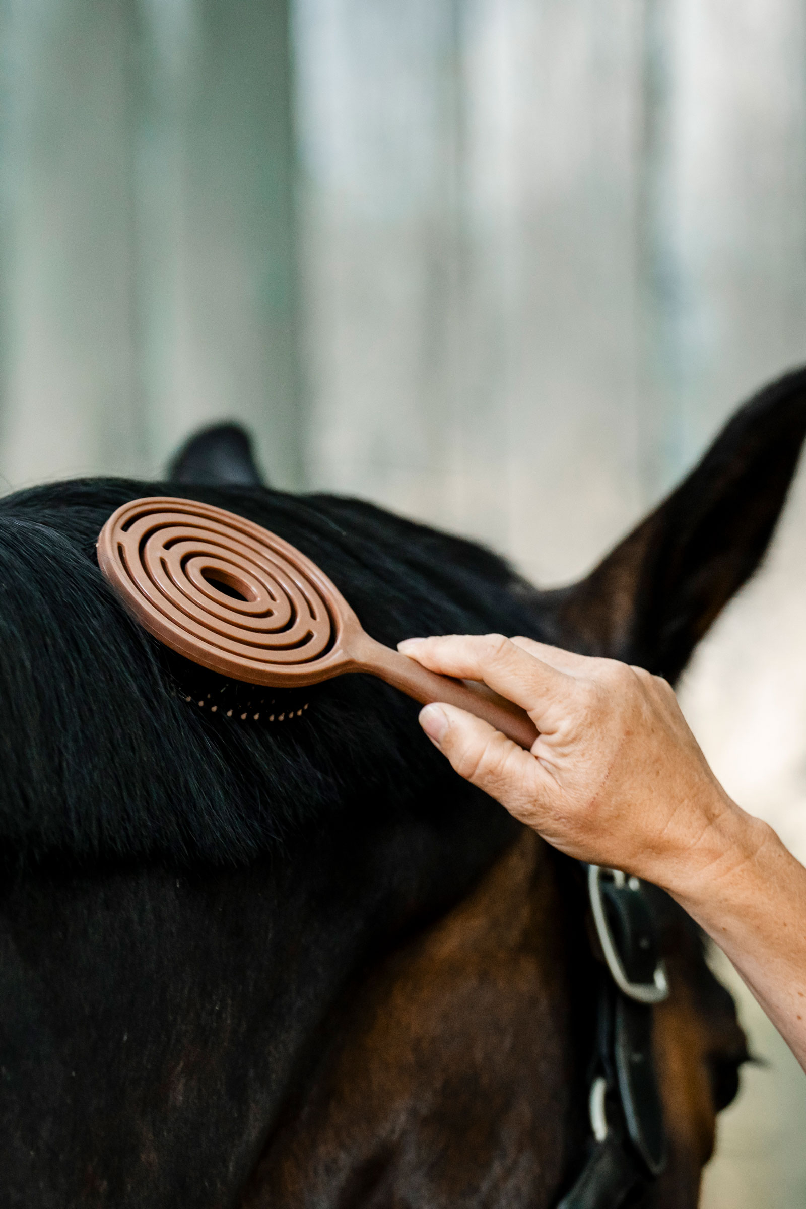 Horseware szczotka do grzywy i ogona