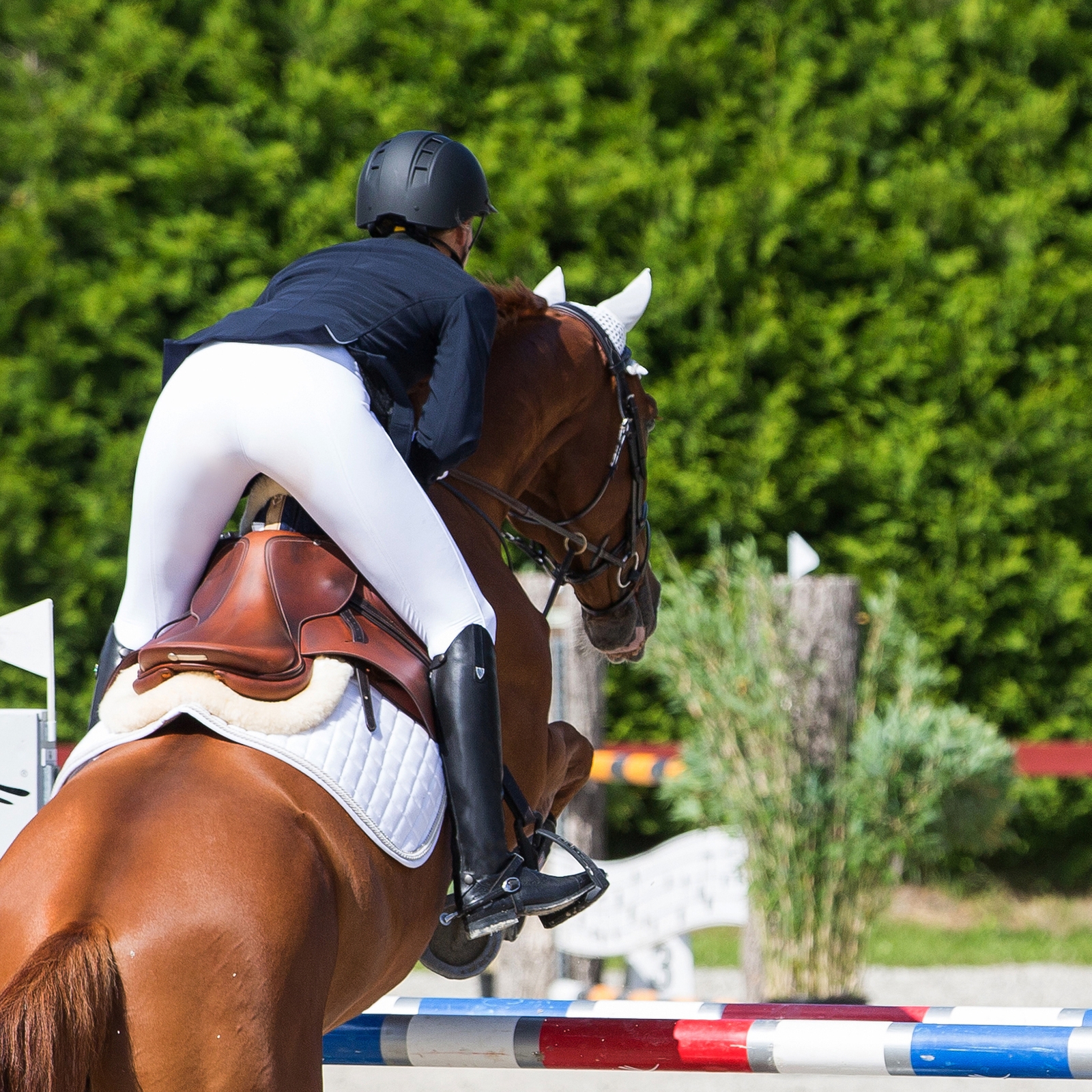 Oficerki z naturalnej skóry Horze Winslow