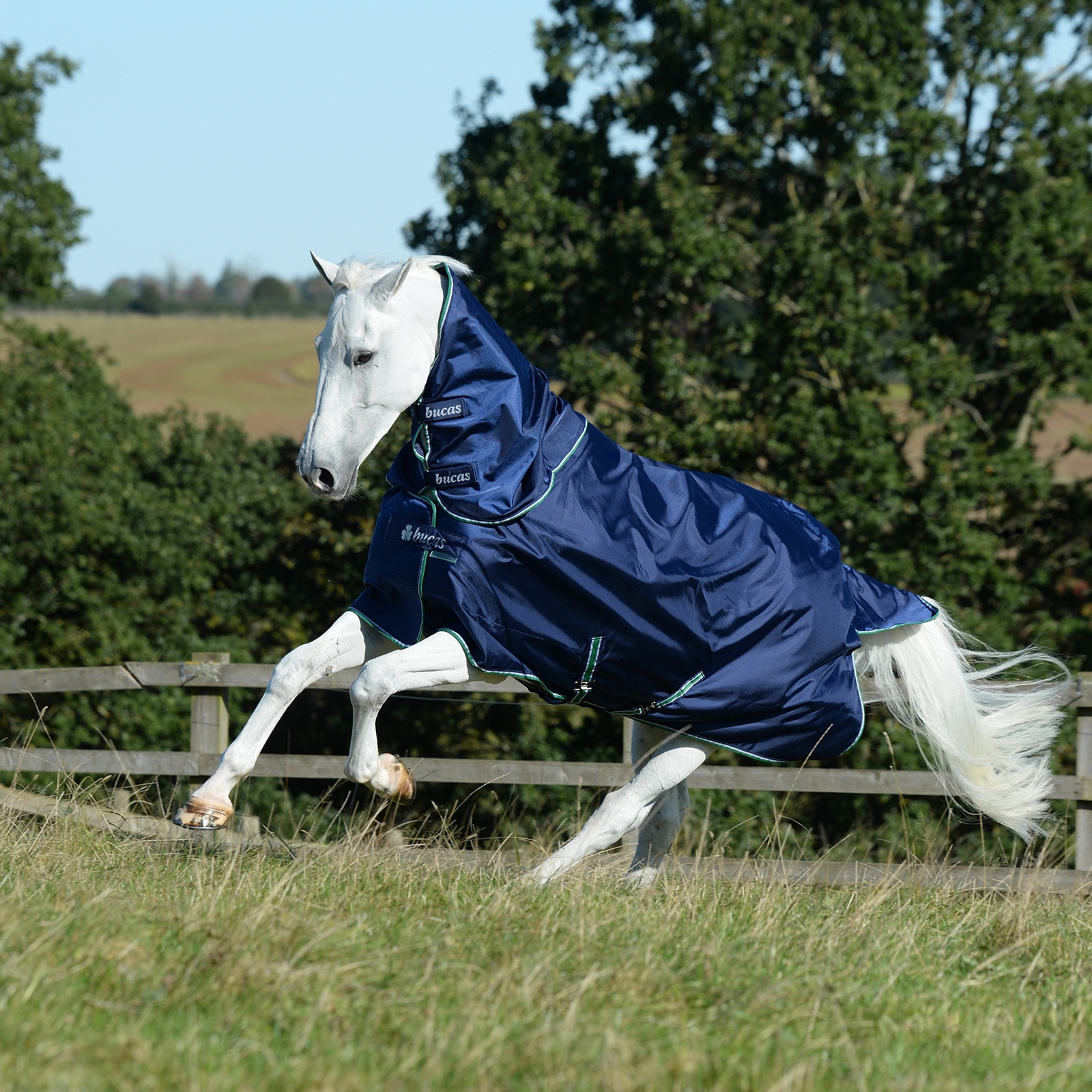 Szyja Bucas Smartex Combi 300