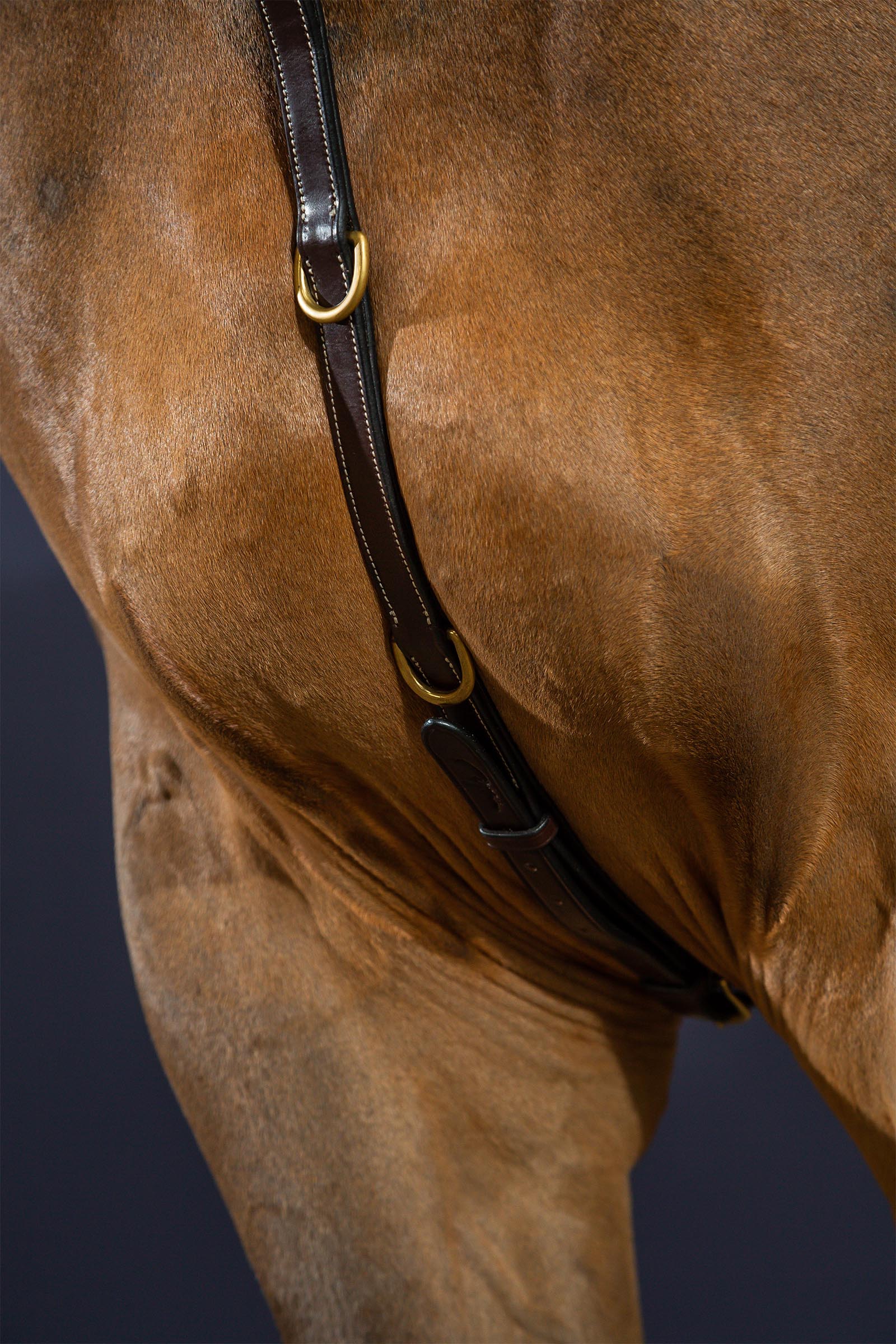 Dy'on D Collection napierśnik z mostkiem