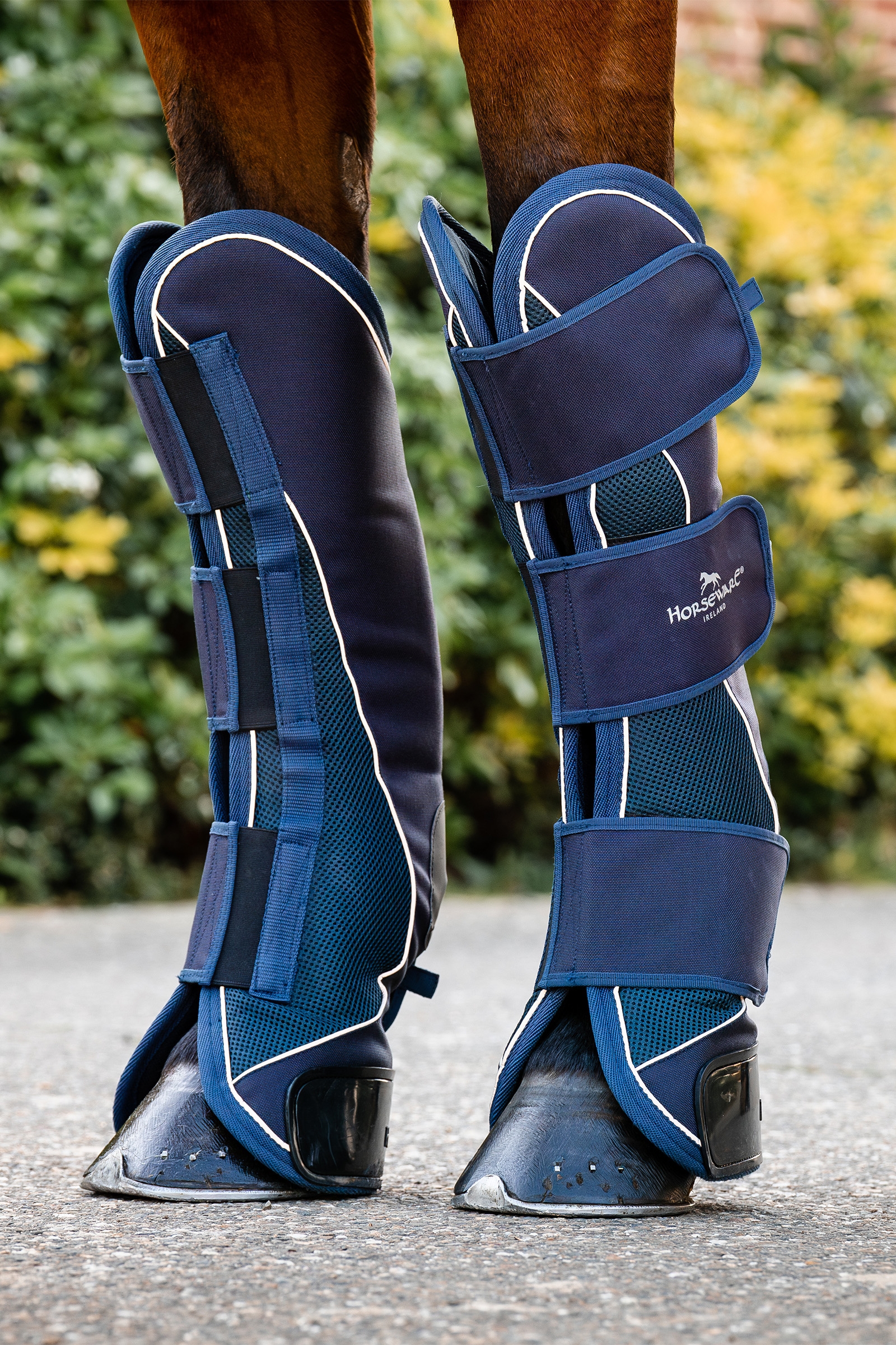 Navy Horseware Signature Chusty Transportowe