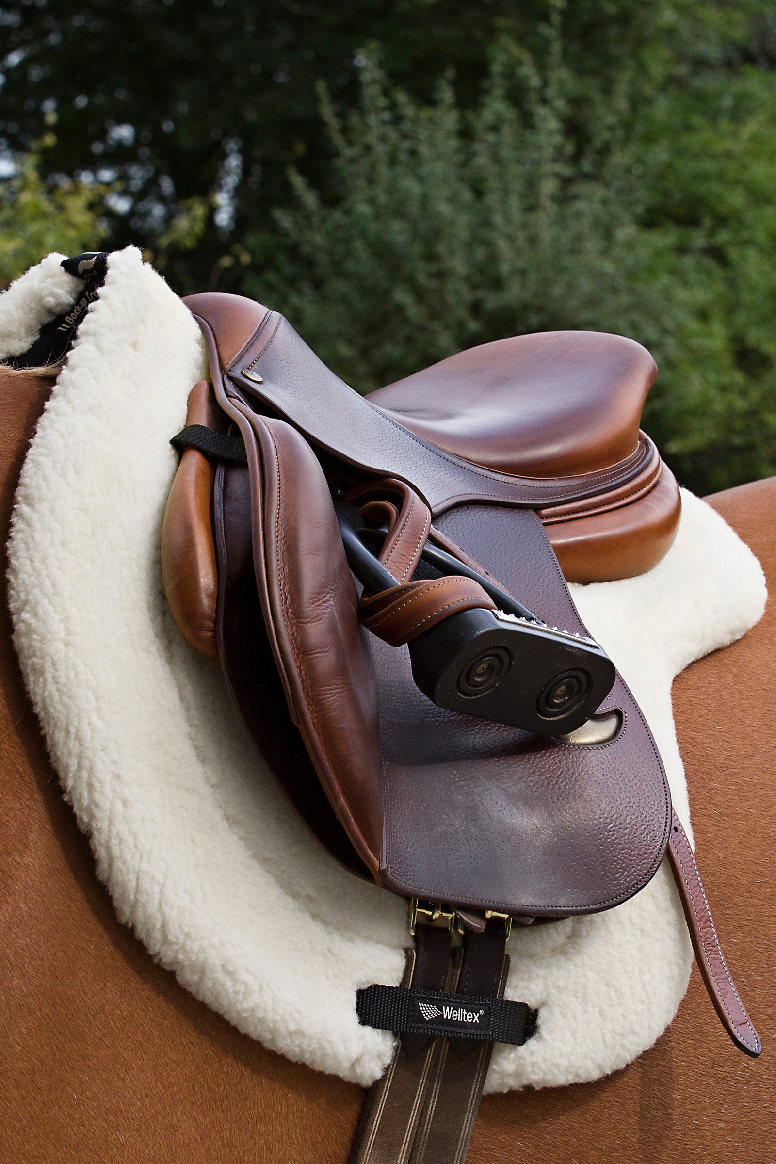 Back on Track Czaprak "Teddy"