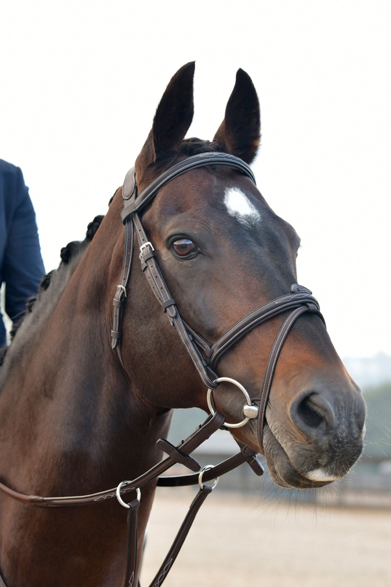 Collegiate Comfitec Opulux Fancy Stitch wyściełany nachrapnik hanowerski