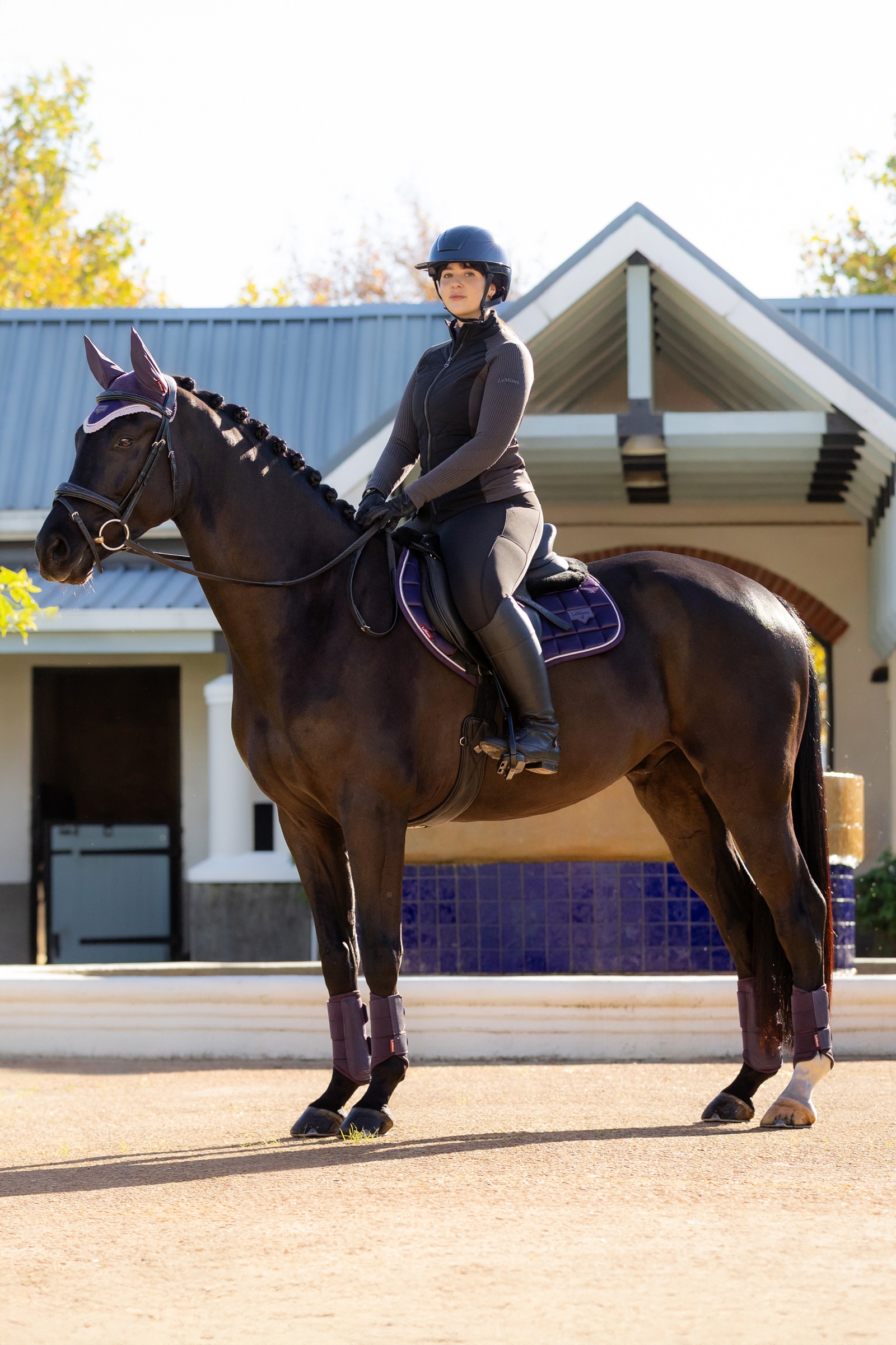 LeMieux Merino+ Loire klasyczna czaprak Close Contact