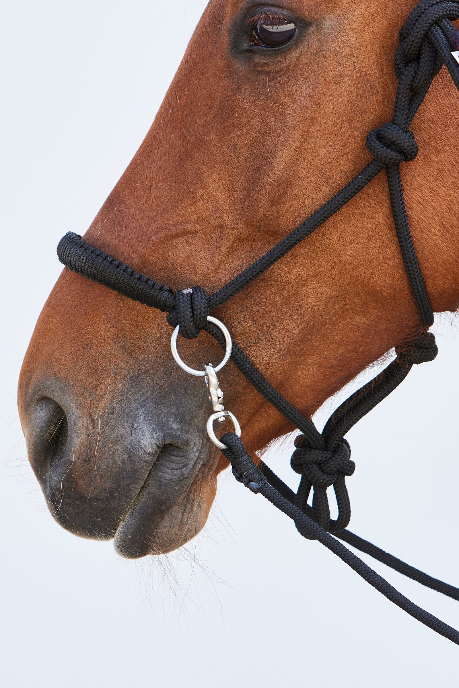 Kantar ze sznurka Kieffer Ruby