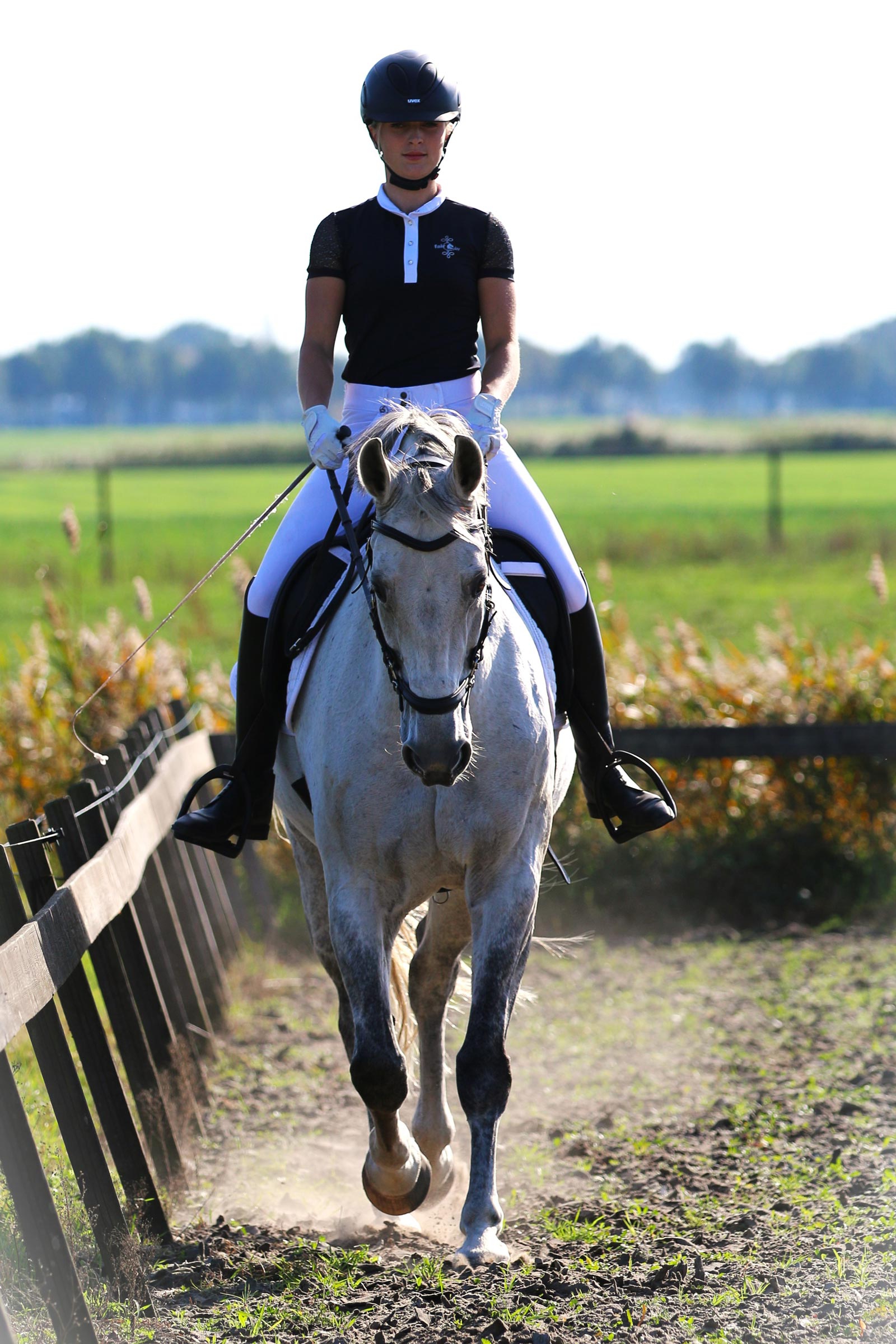 F.R.A. Freedom Riding Articles Calli ogłowie Hackamore z wodzami (System 2)