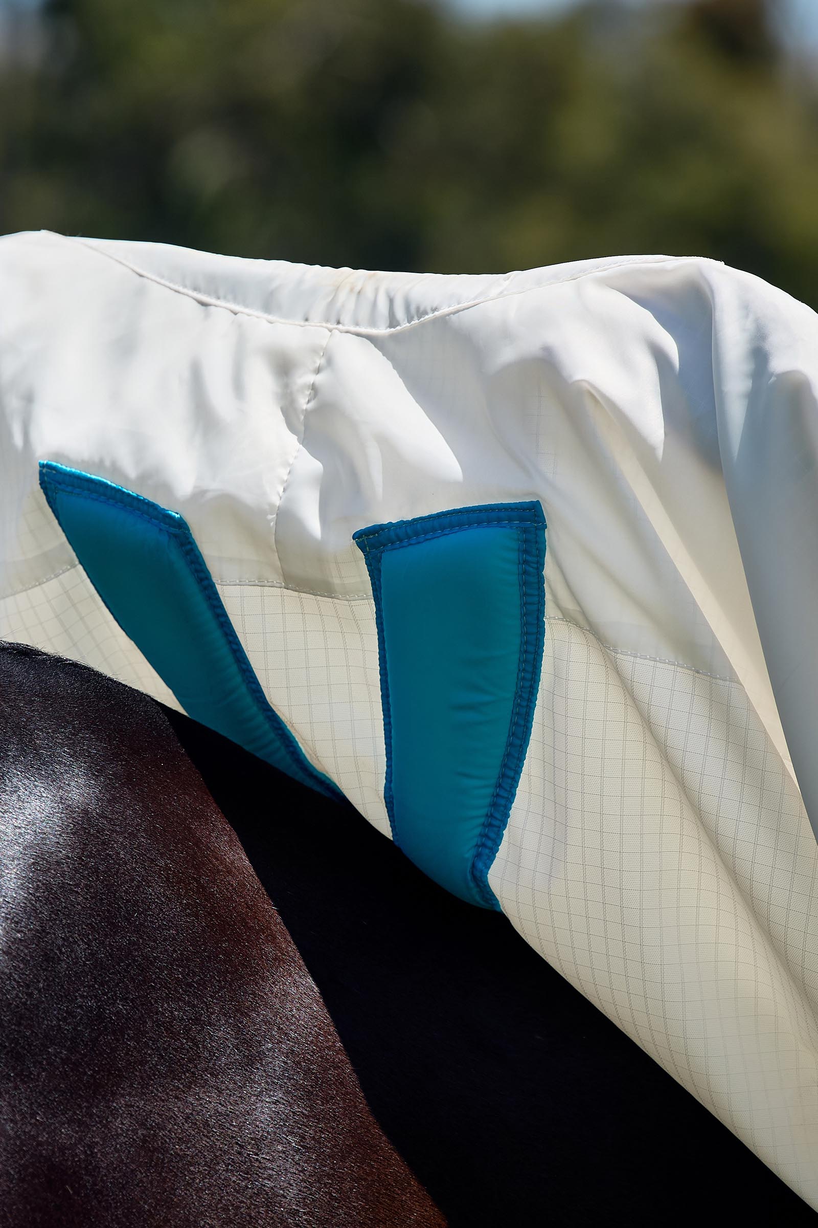 Weatherbeeta ComFiTec Sweet Itch Shield Derka przeciw muchom combo ze stałą szyją, 0 g  