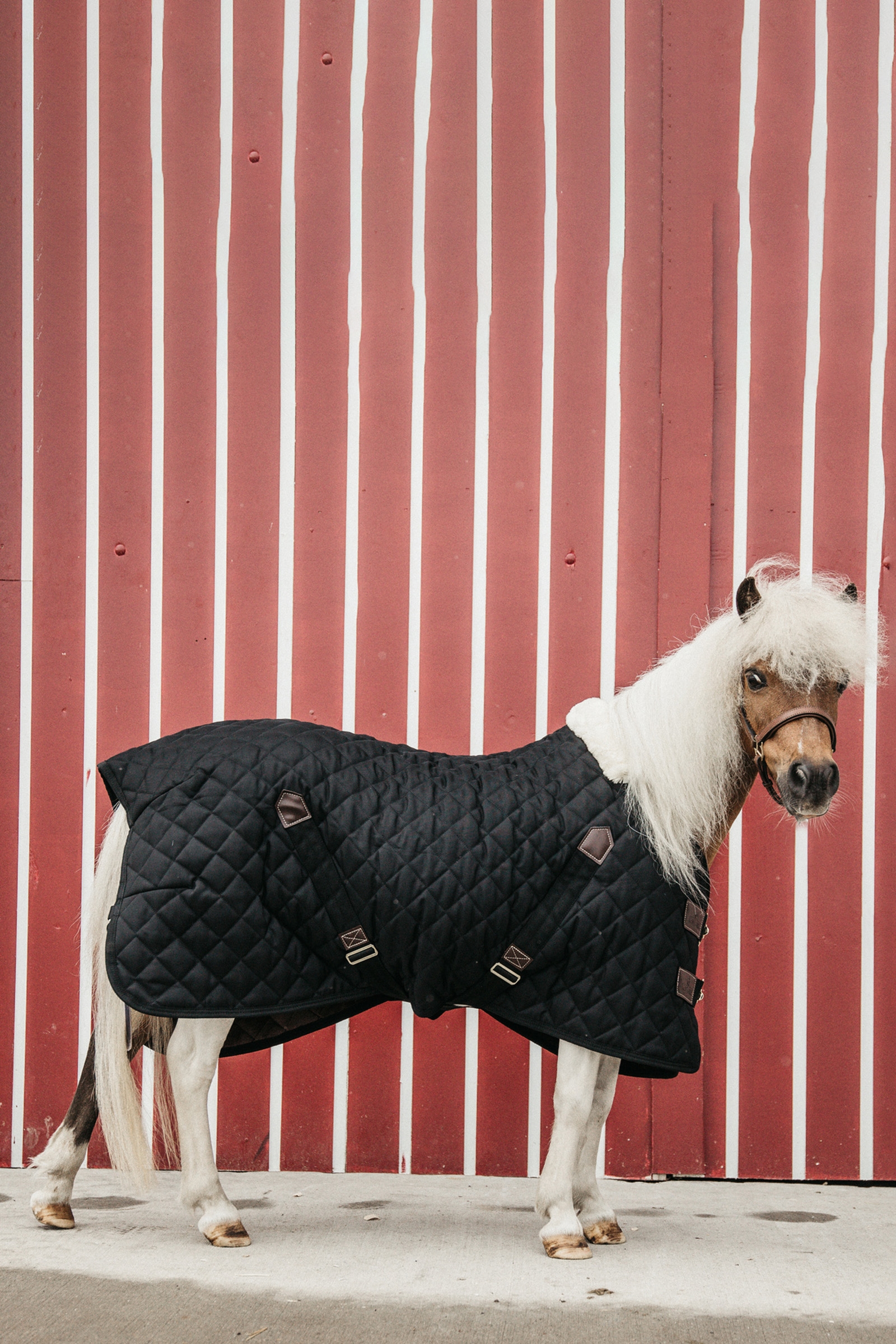 Derka stajenna Kentucky Horsewear 400g