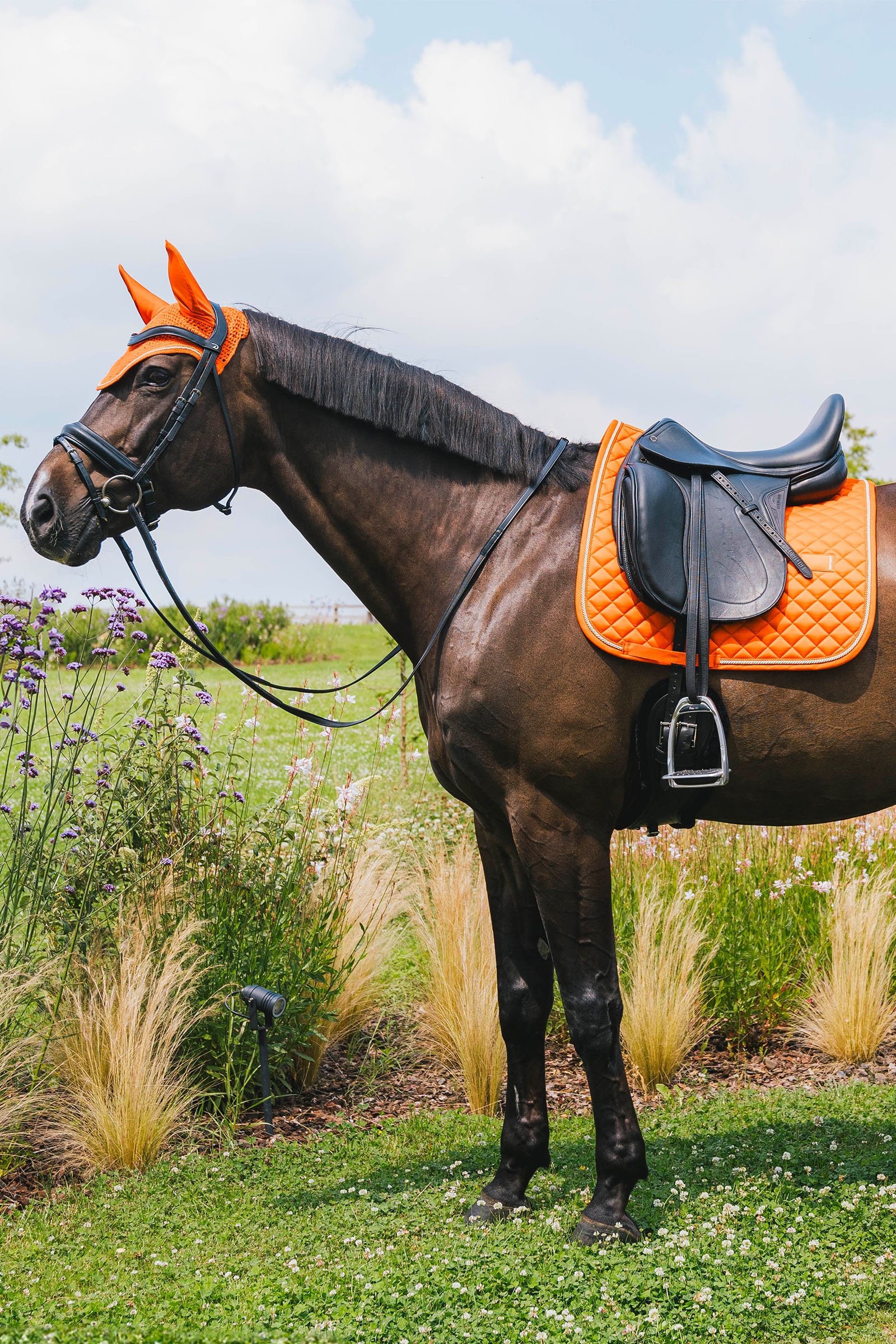 Kentucky Horsewear czaprak ujeżdżeniowy Diamond Rope