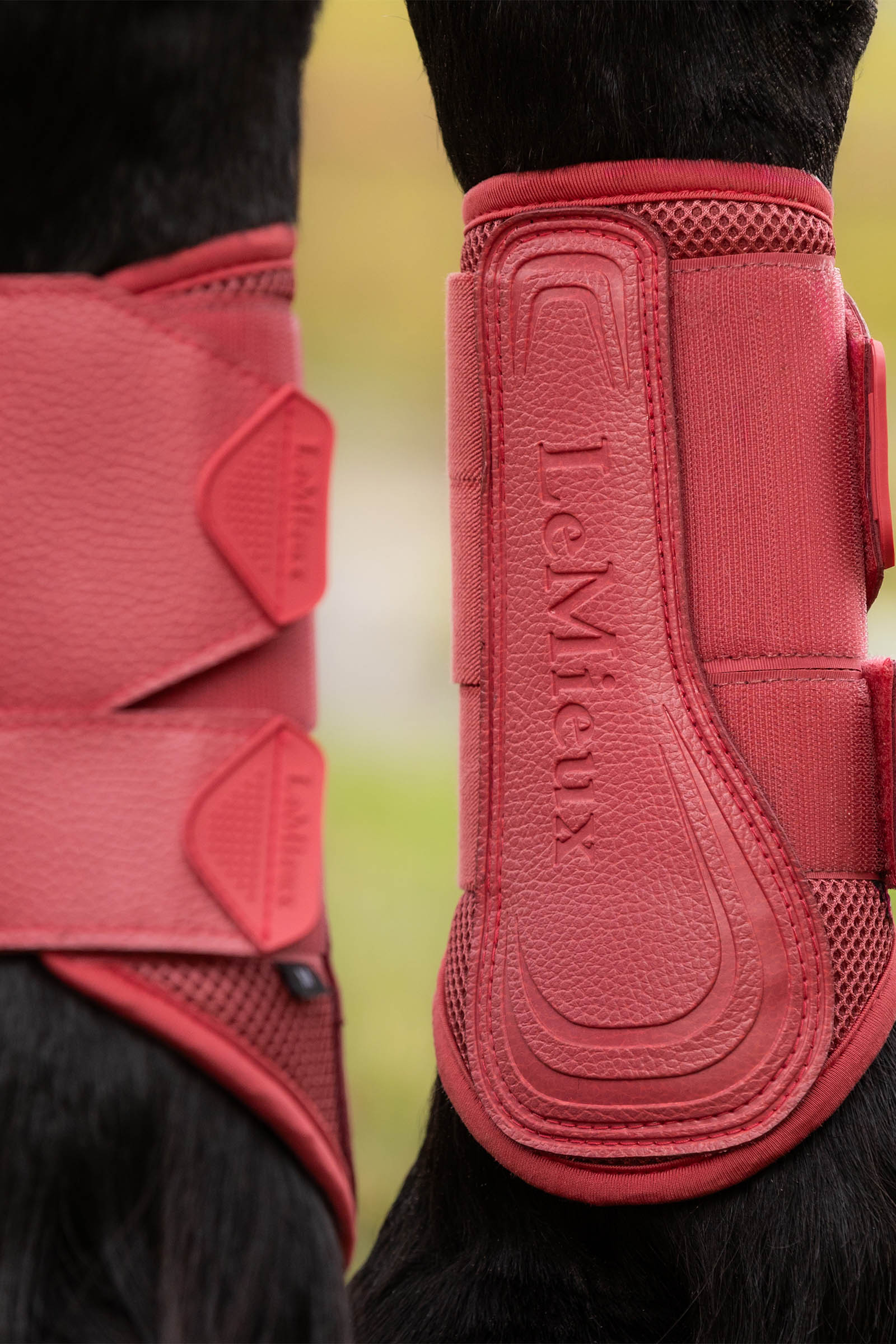 LeMieux Arika ochraniacze mesh