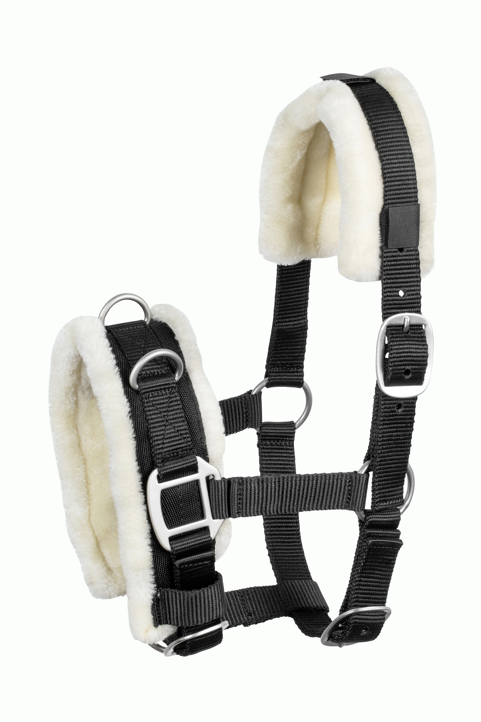 USG Shetty Kawecan dla kuca