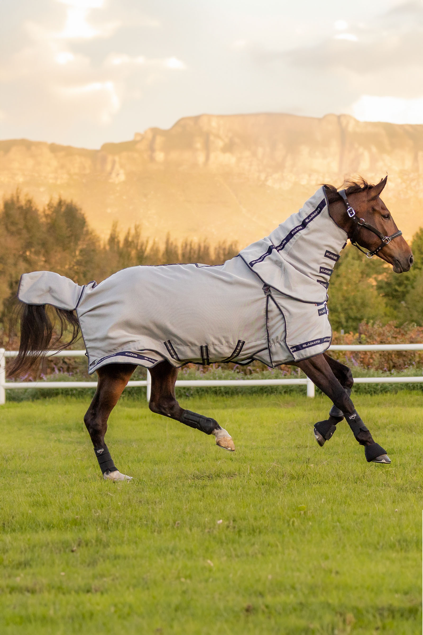 LeMieux Kudos Gladiator derka przeciwko owadom