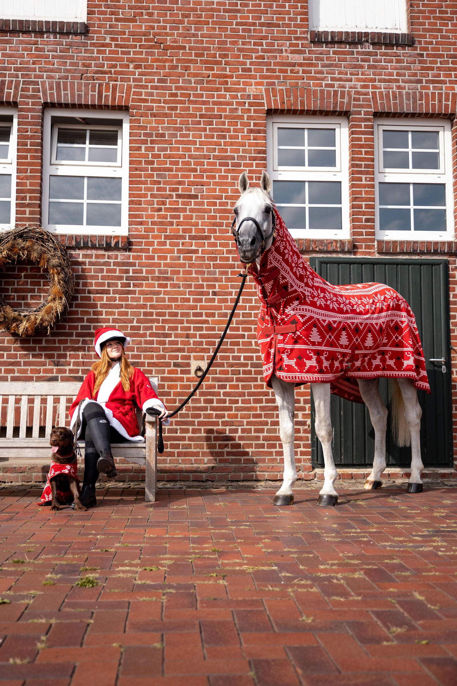 Horze świąteczny sweter dla koni
