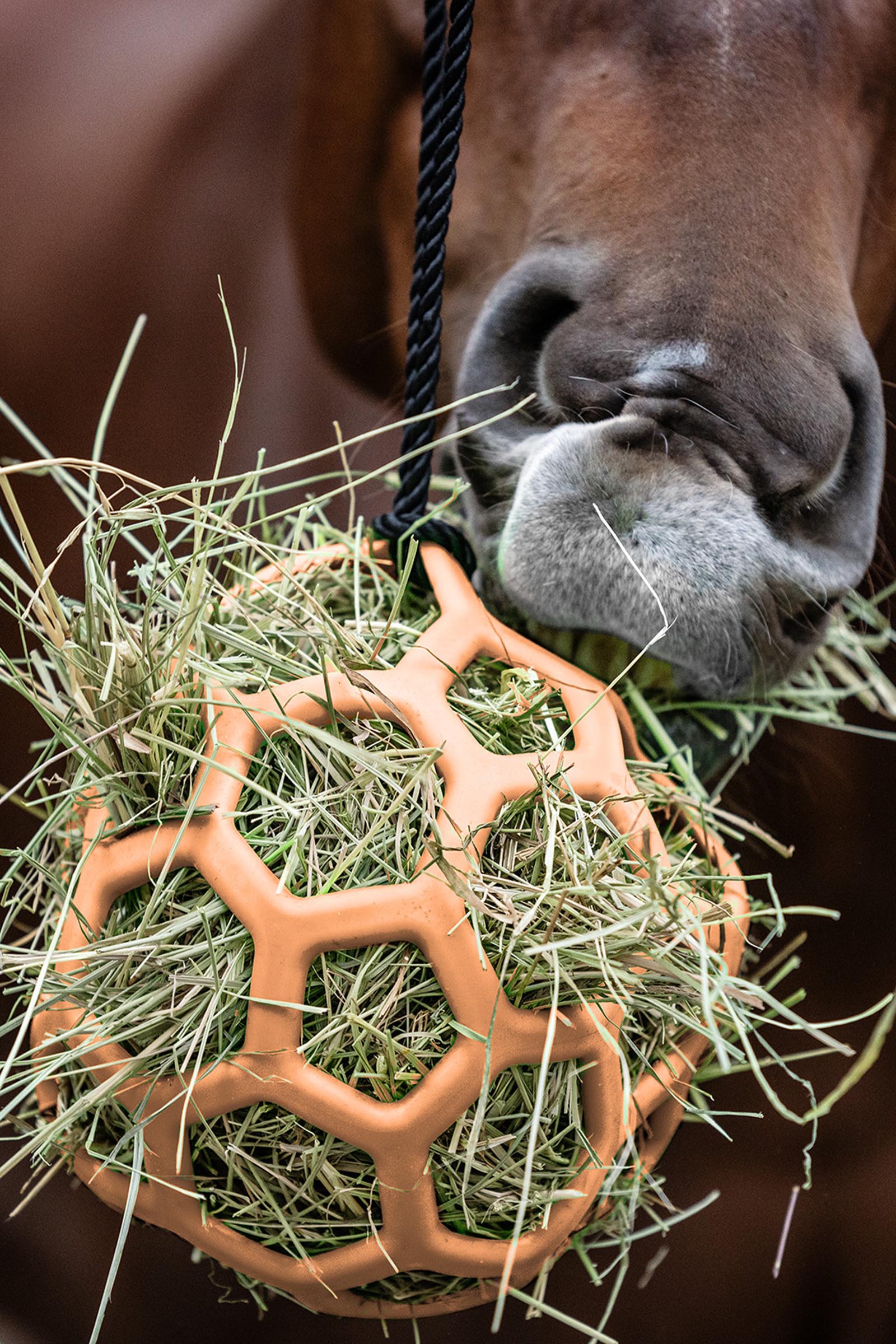 Peach Waldhausen piłka na siano