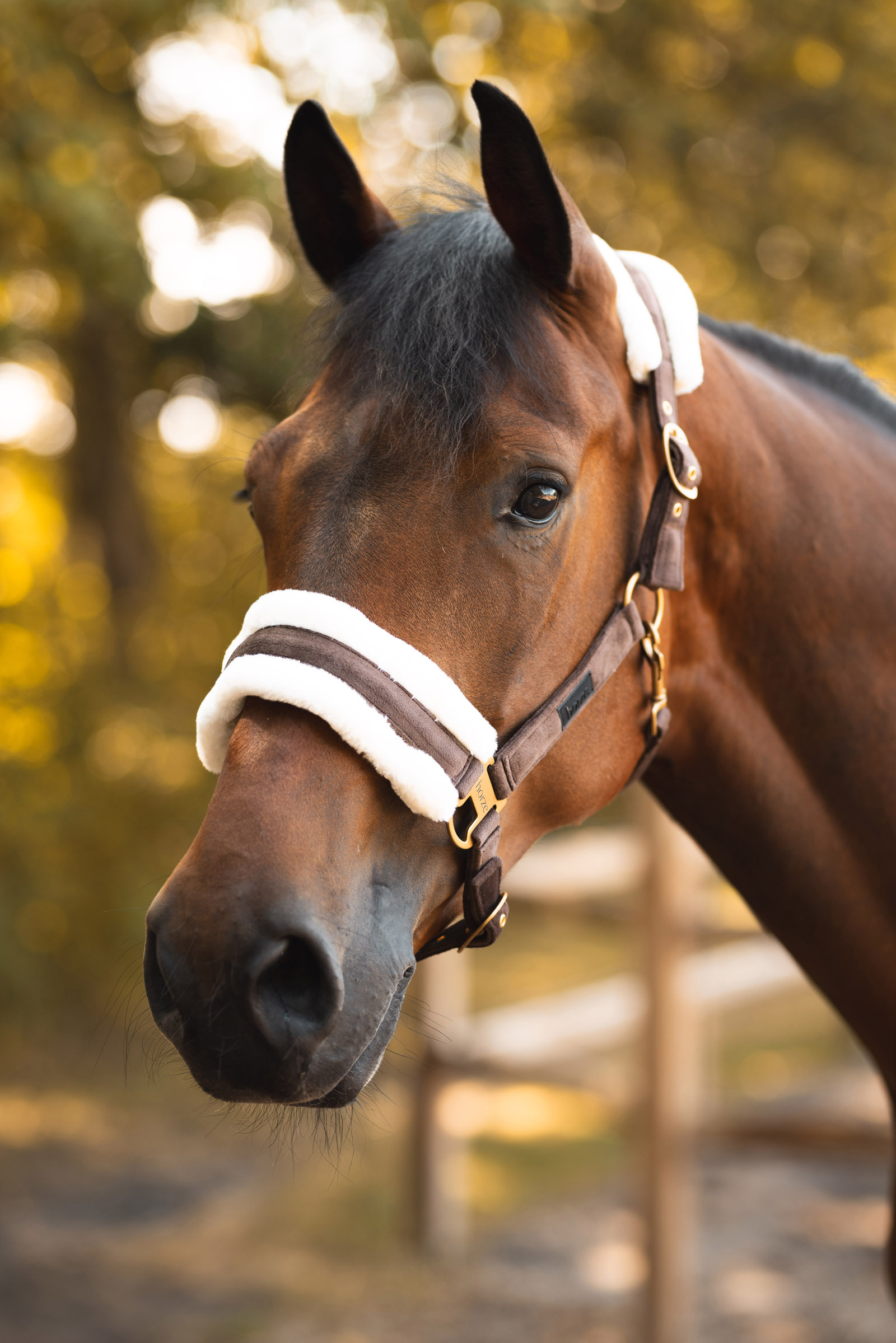 Horze St. Moritz Kantar