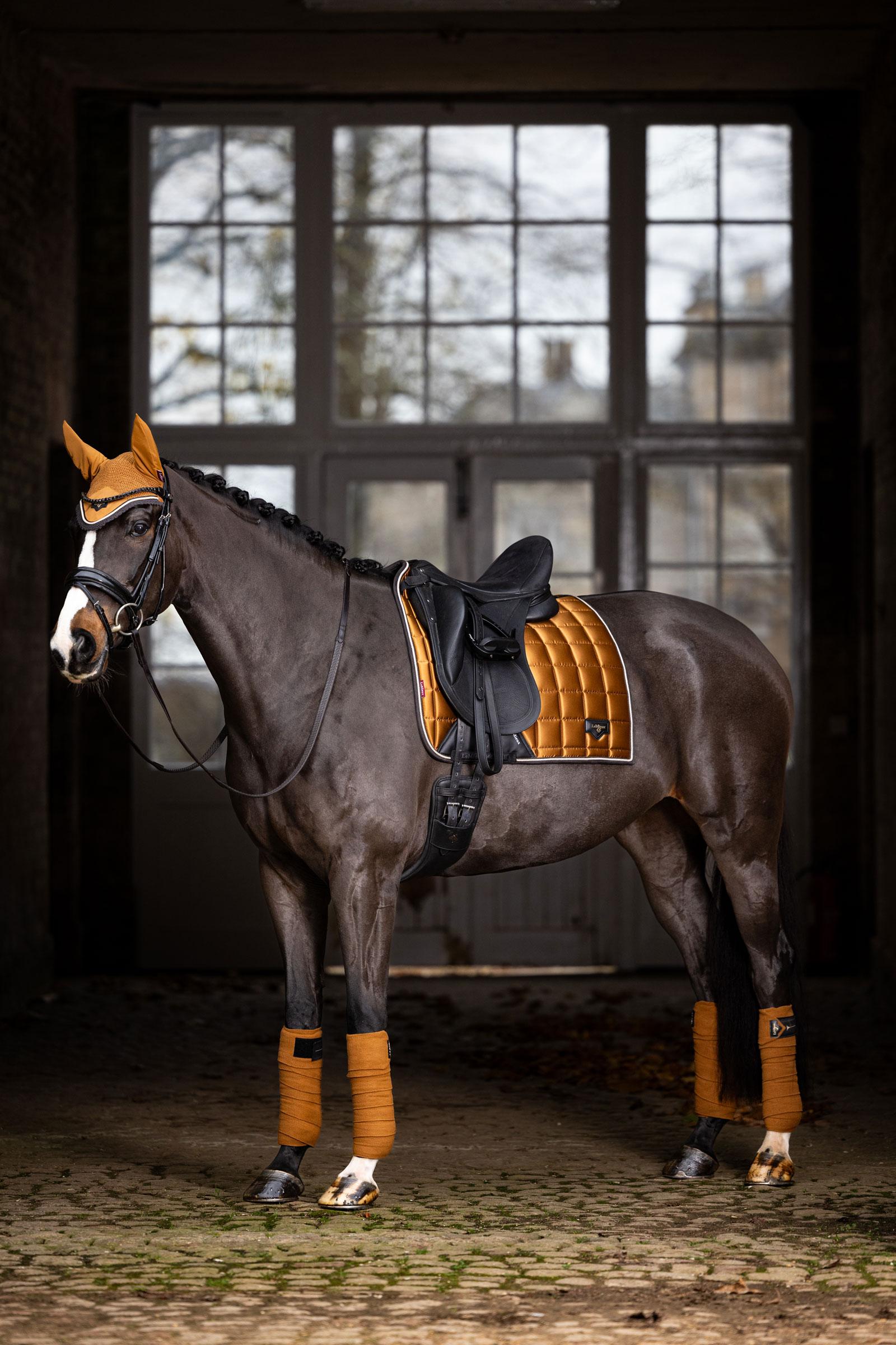 LeMieux Loire Classic Klasyczne czapraki ujeżdżeniowe