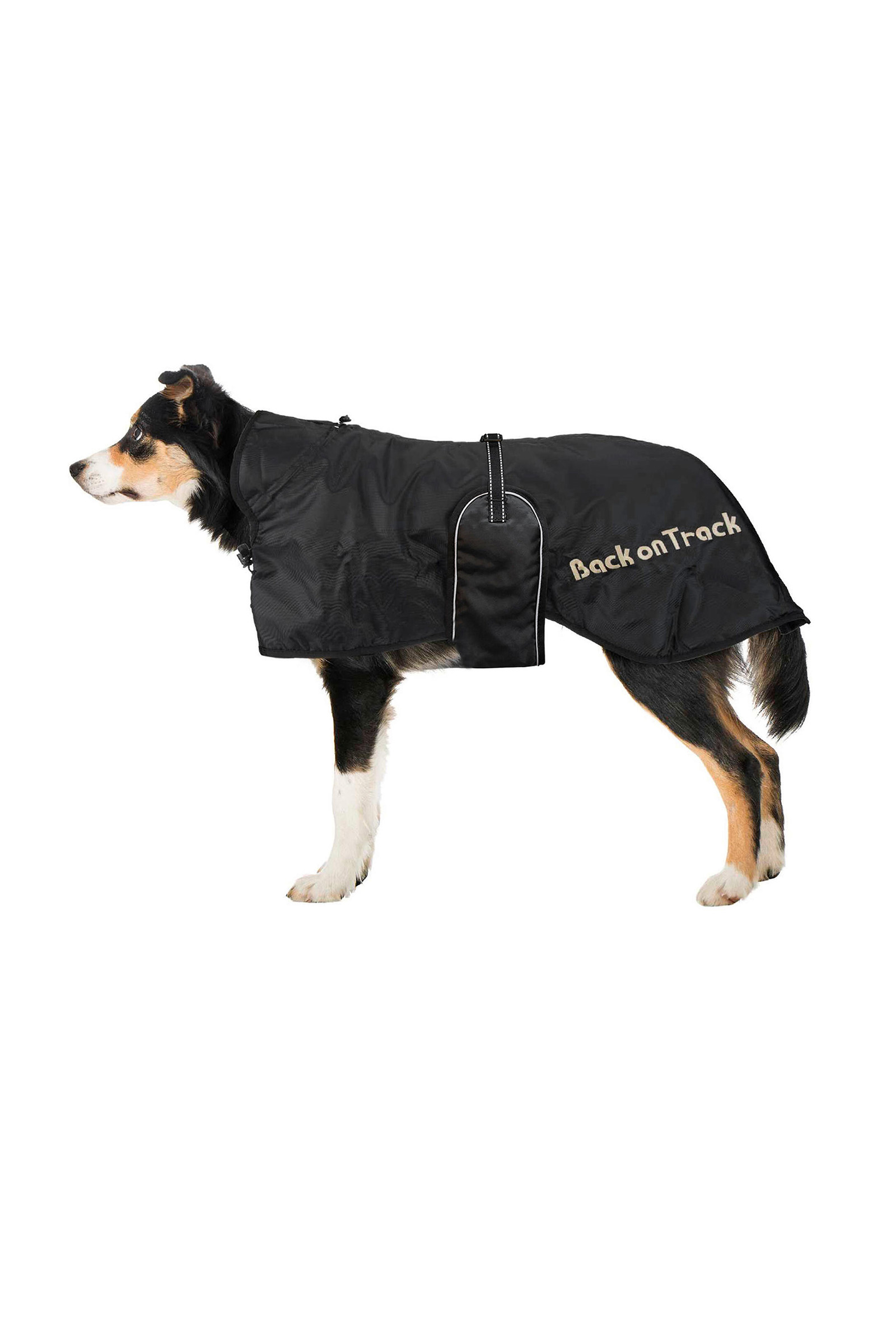 Derka dla psa Back on Track 43-59