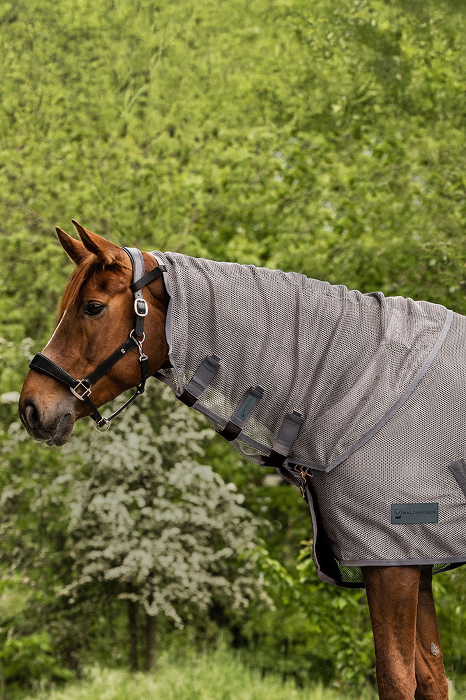 Grey Waldhausen Comfort ochraniacz szyi przeciw owadom