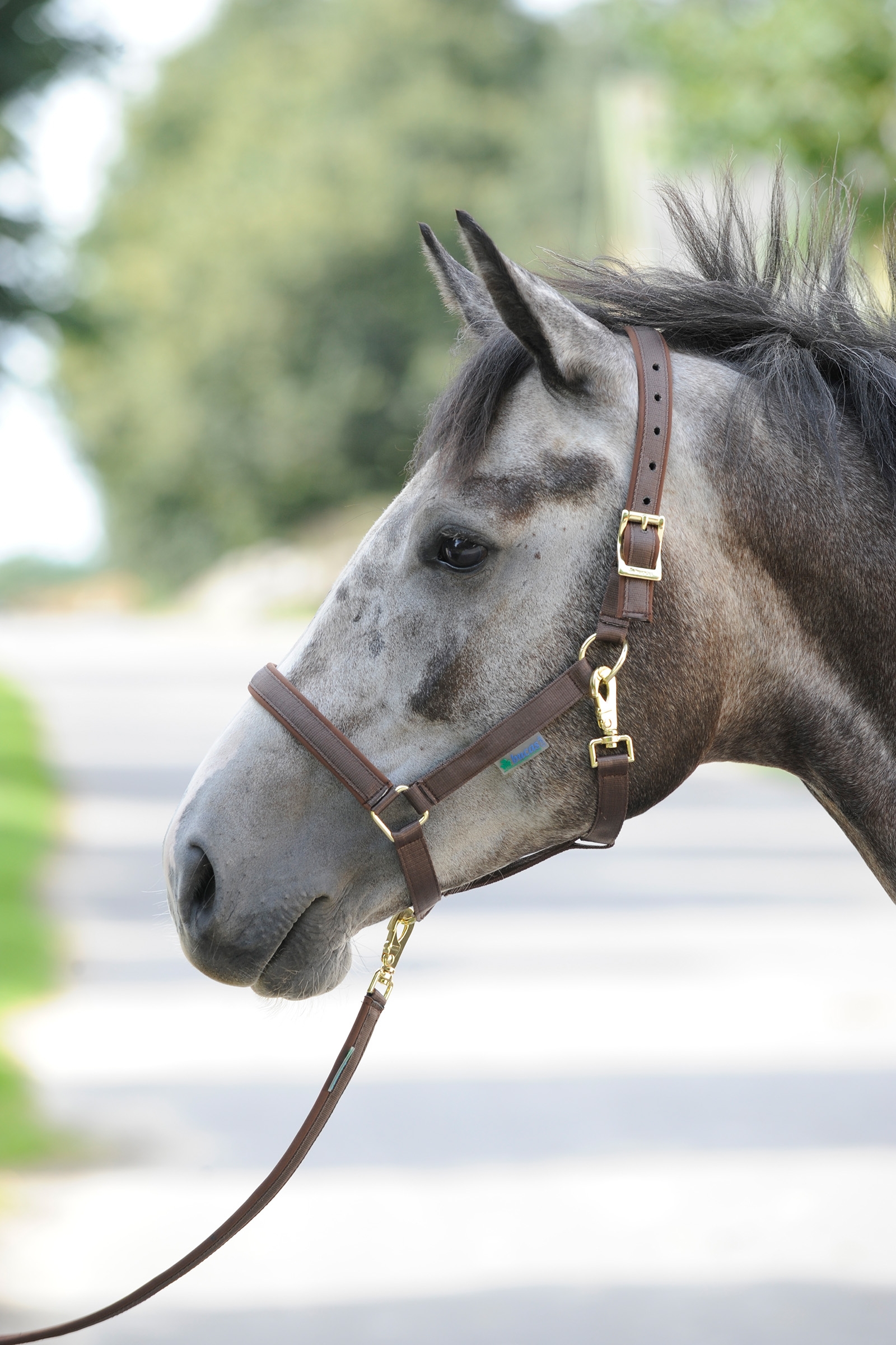 Brown/Brown Luksusowa wyściełana kamizelka Bucas Dublin