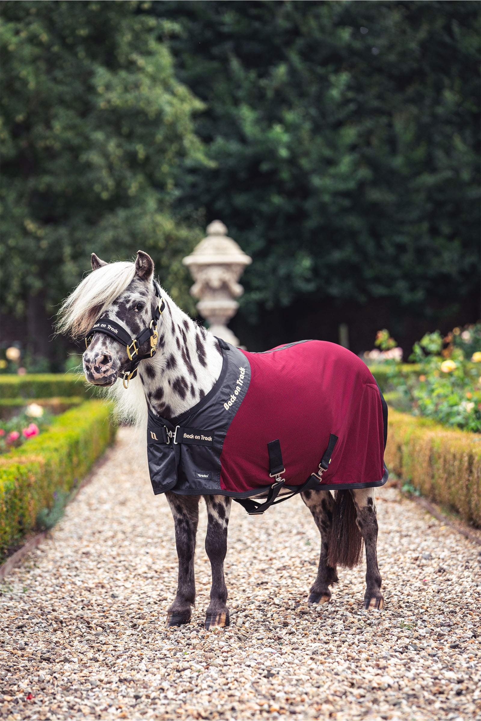 Back on Track Royal Derka Siatkowa dla Kucyka Deluxe