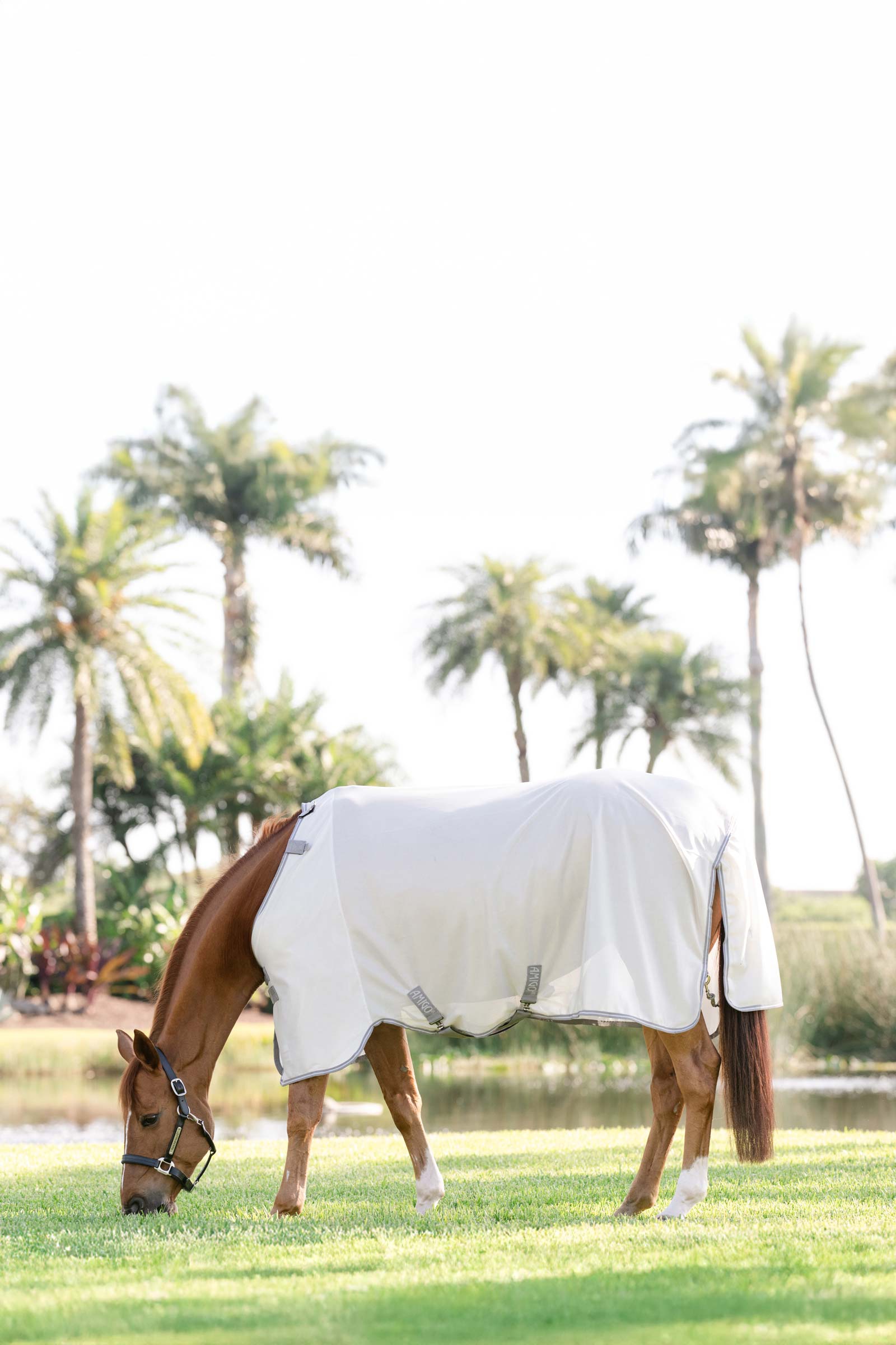 Horseware Amigo derka przeciw owadom z ochroną UV