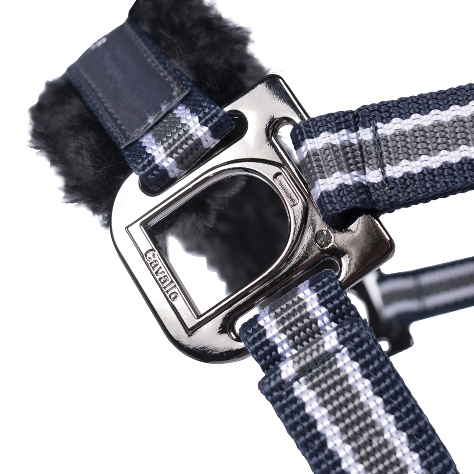 Kantar Cavallo CavalHelia